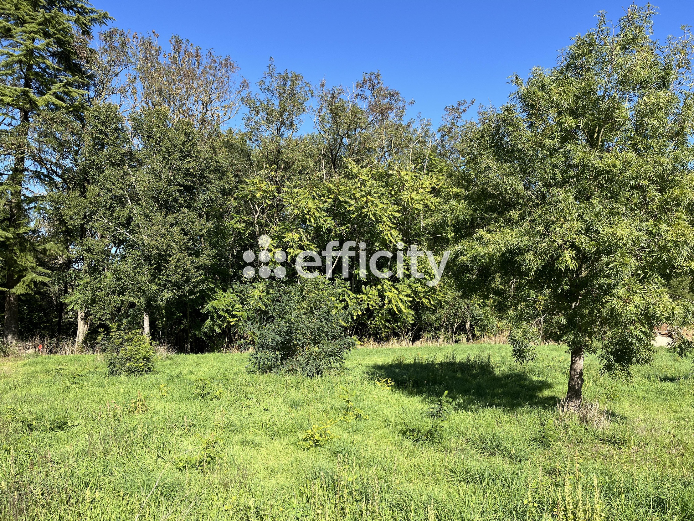 terrain  - 646,0m2 à Niort (79000)