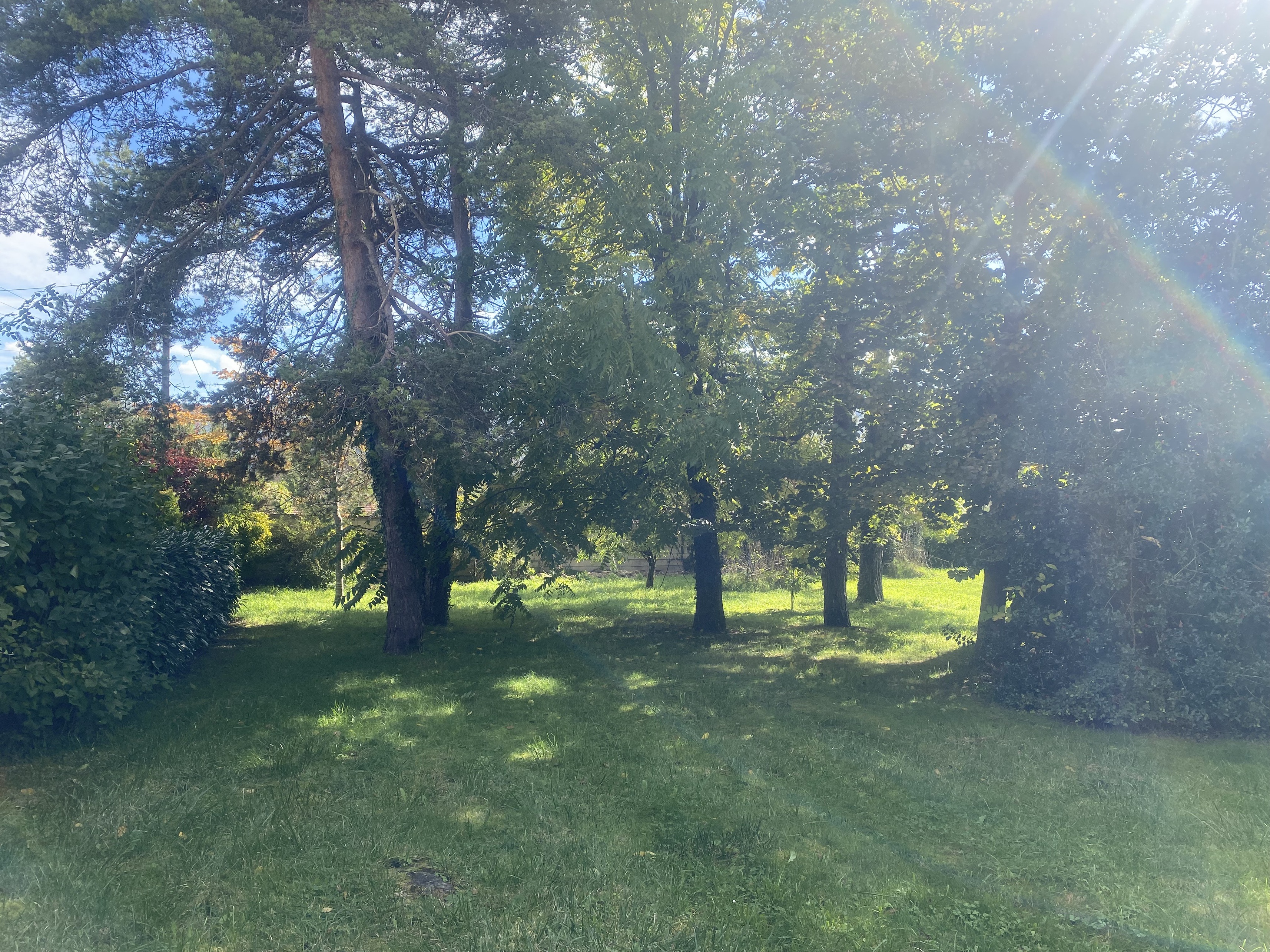 Achat immobilier Maison 9 pièces  448m2 à Thise (25220) - Photo n°5