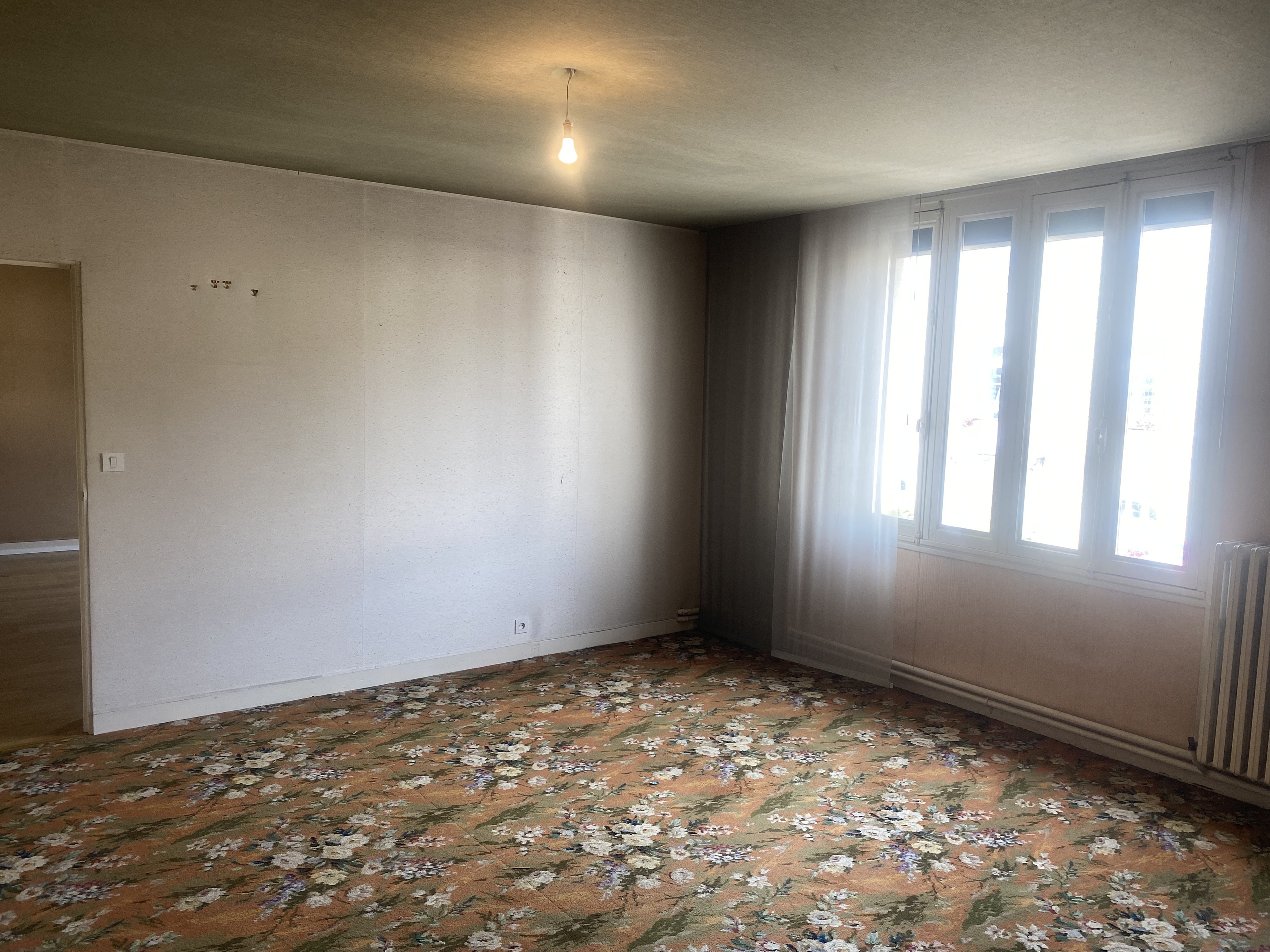 Achat immobilier Maison 9 pièces  448m2 à Thise (25220) - Photo n°15