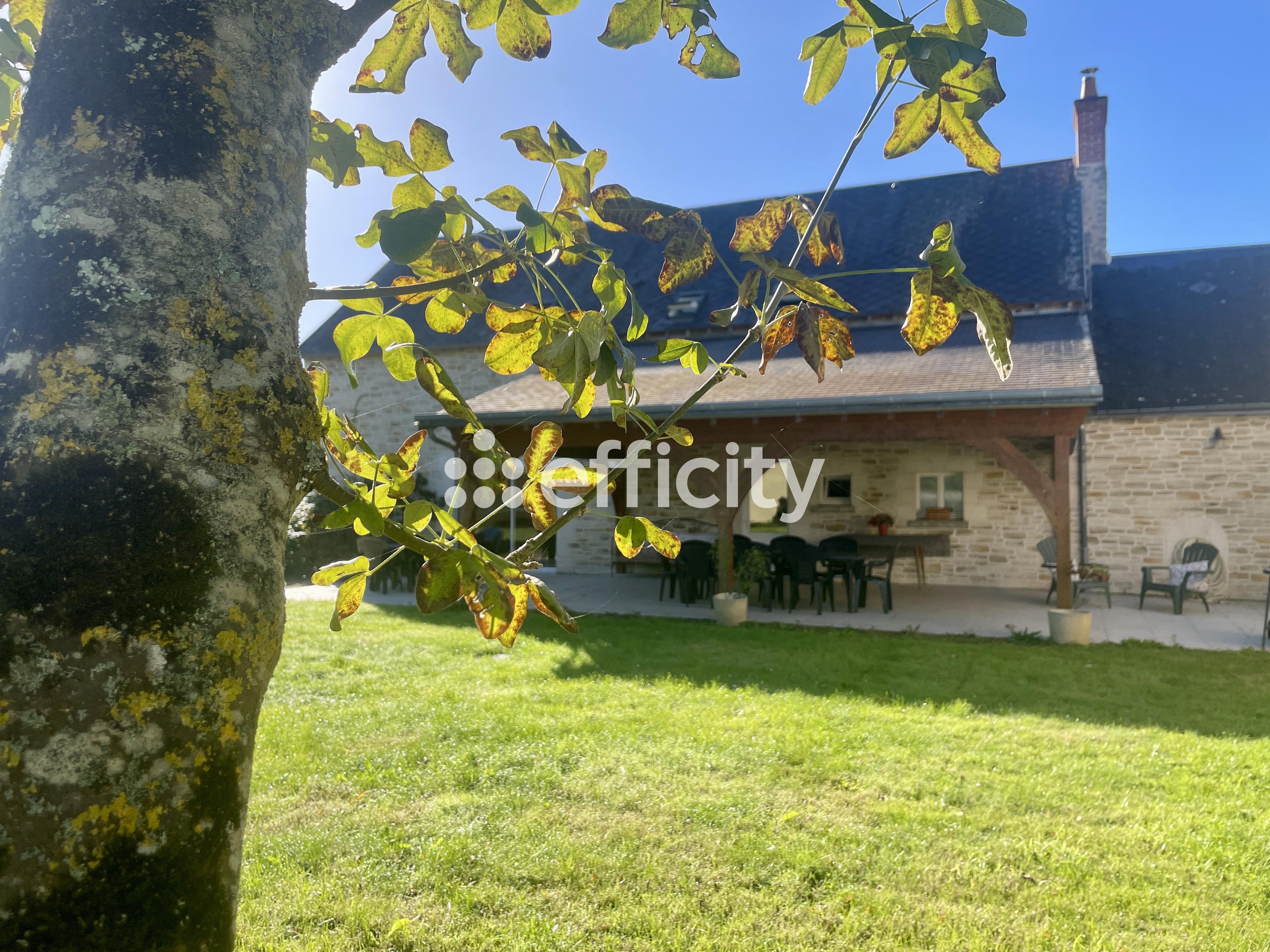 Achat immobilier Maison 12 pièces  272m2 à Hommes (37340) - Photo n°1