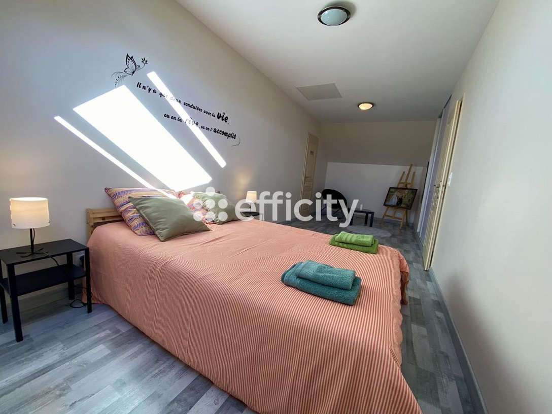 Achat immobilier Maison 12 pièces  272m2 à Hommes (37340) - Photo n°5