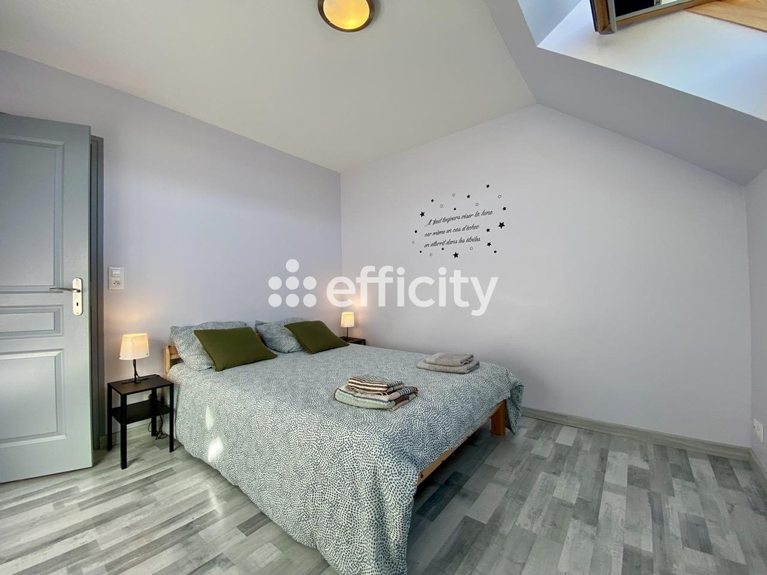 Achat immobilier Maison 12 pièces  272m2 à Hommes (37340) - Photo n°6