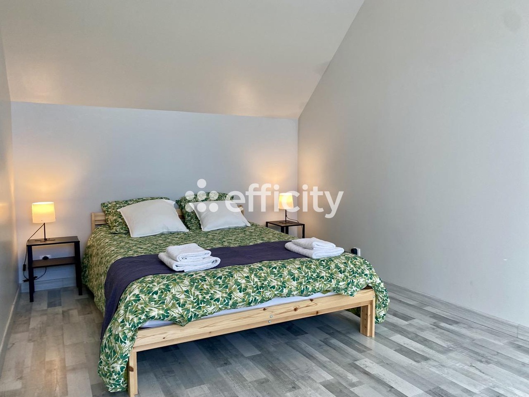 Achat immobilier Maison 12 pièces  272m2 à Hommes (37340) - Photo n°7