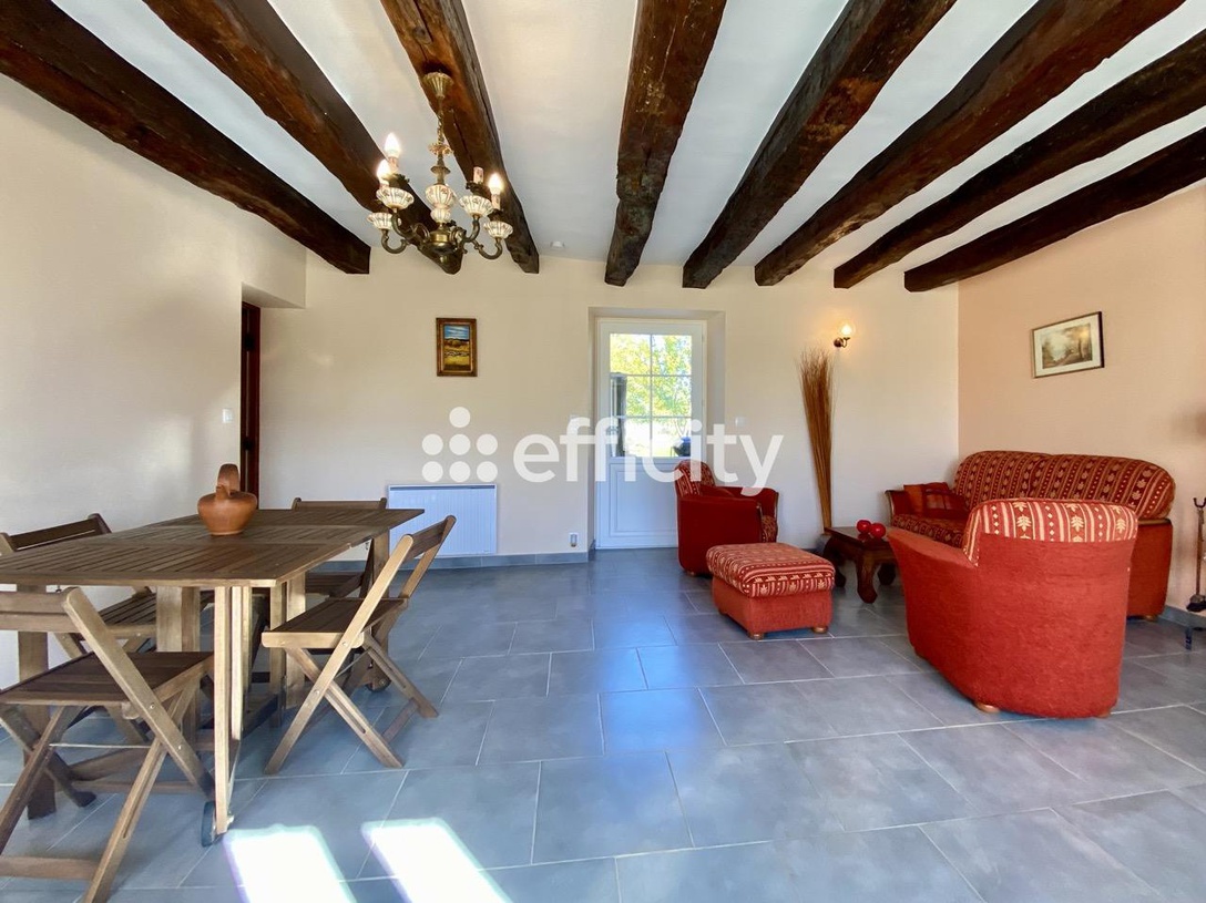 Achat immobilier Maison 12 pièces  272m2 à Hommes (37340) - Photo n°9