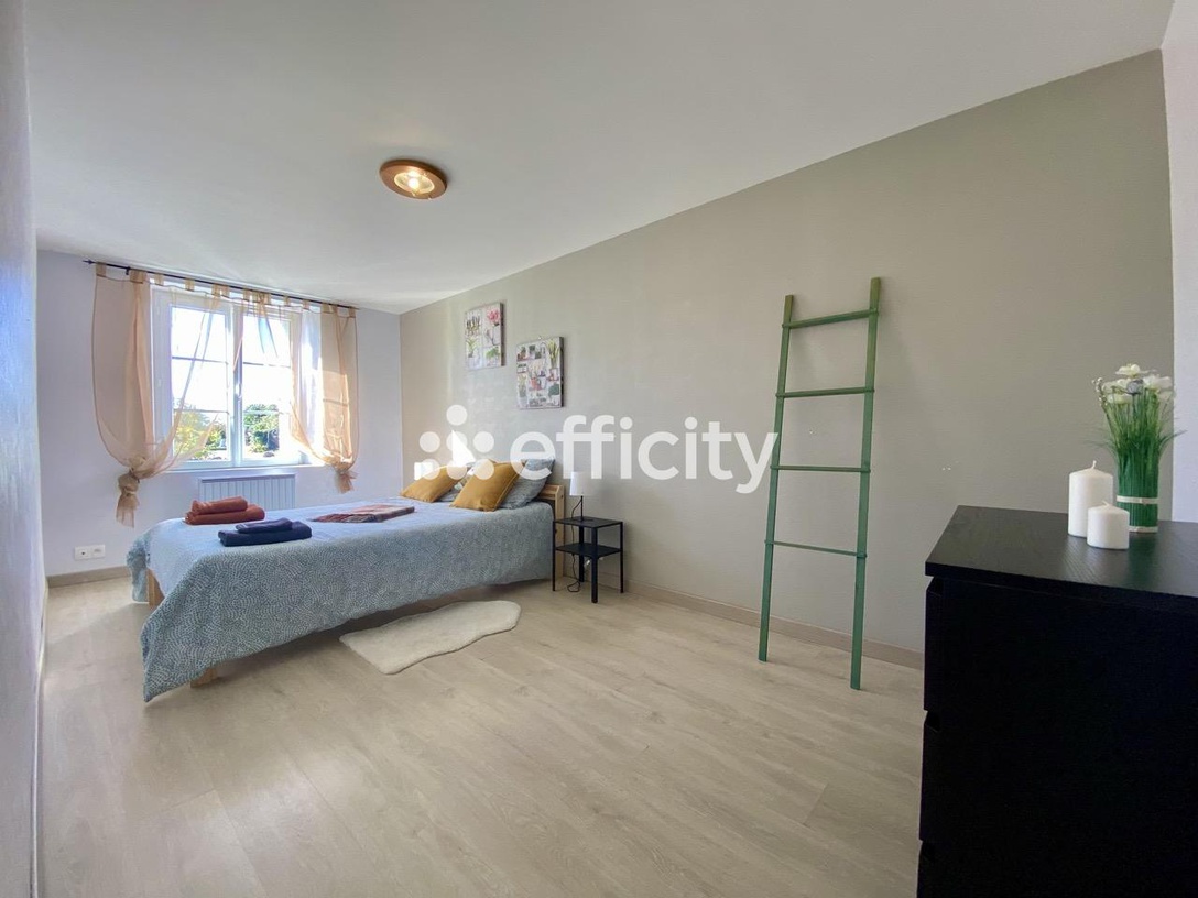 Achat immobilier Maison 12 pièces  272m2 à Hommes (37340) - Photo n°12