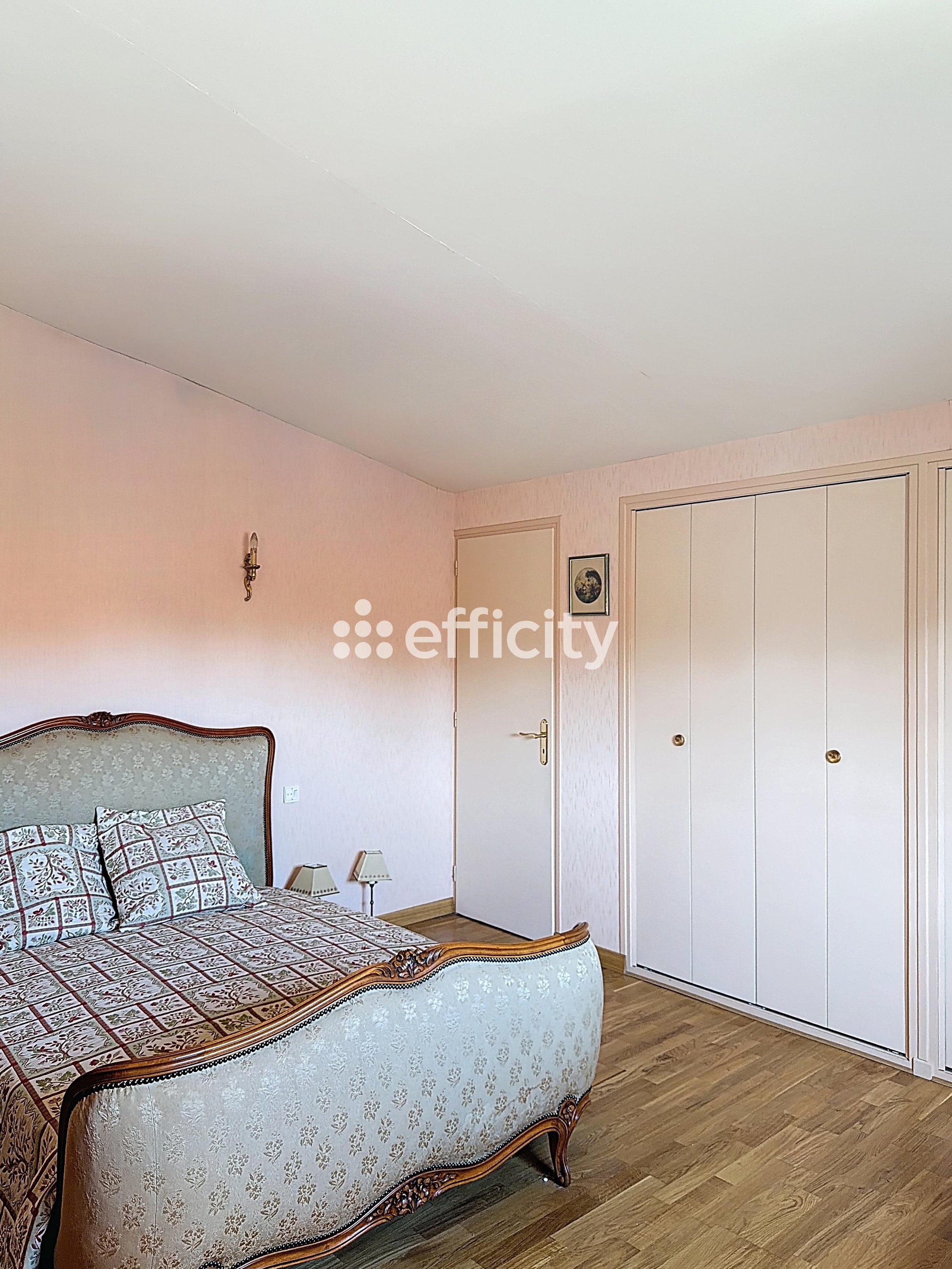 Achat immobilier Maison 6 pièces  220m2 à Ramonville-Saint-Agne (31520) - Photo n°7