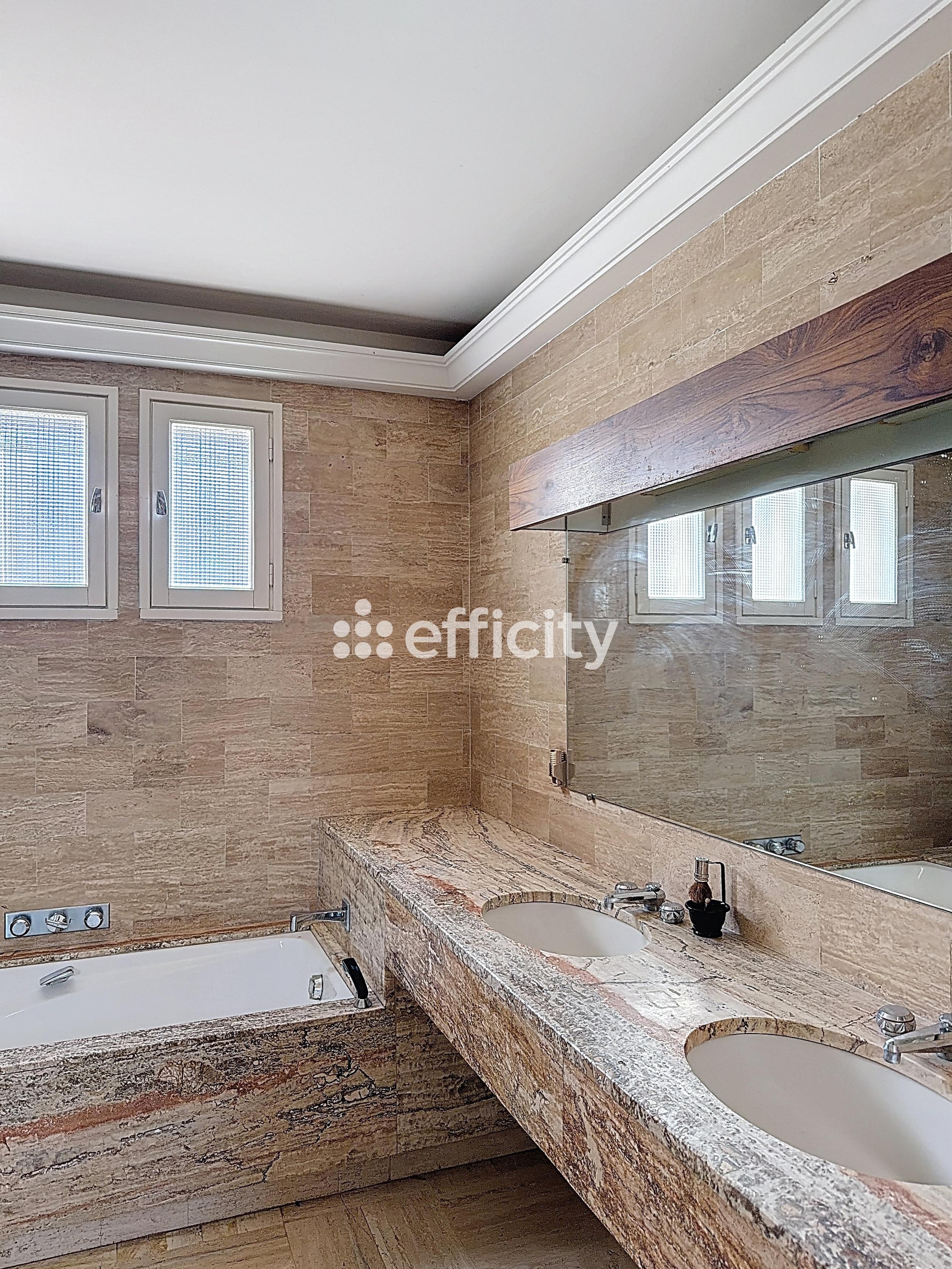 Achat immobilier Maison 6 pièces  220m2 à Ramonville-Saint-Agne (31520) - Photo n°11