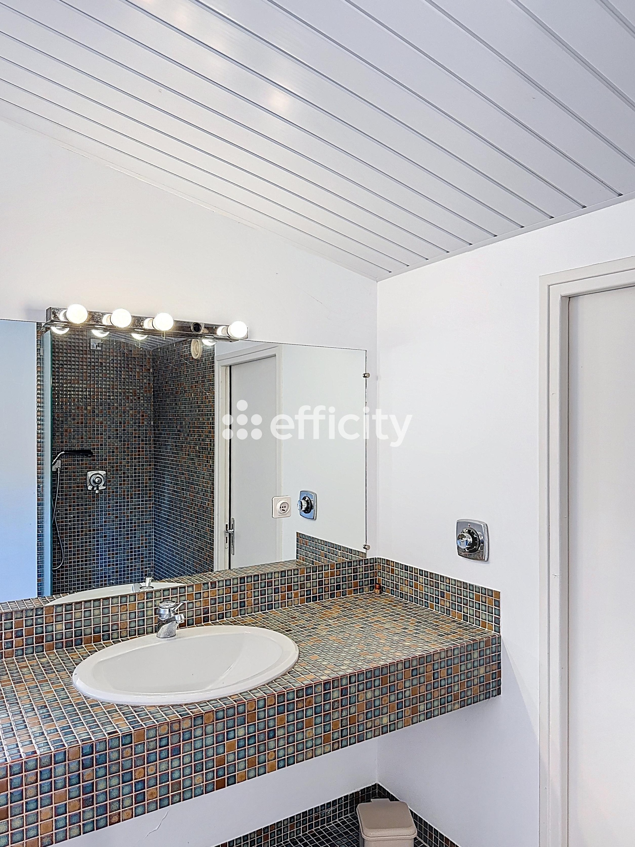 Achat immobilier Maison 6 pièces  220m2 à Ramonville-Saint-Agne (31520) - Photo n°12