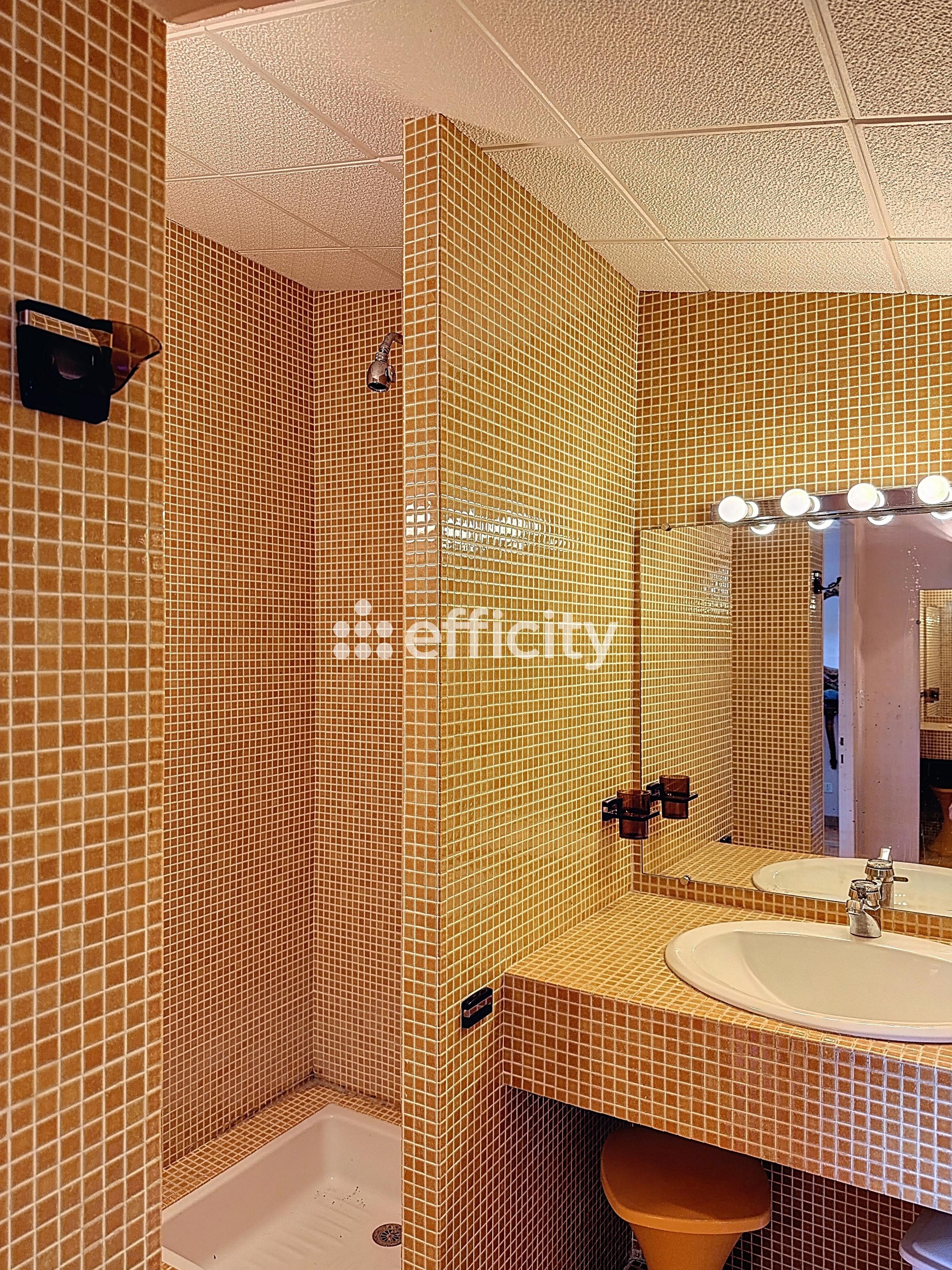 Achat immobilier Maison 6 pièces  220m2 à Ramonville-Saint-Agne (31520) - Photo n°10