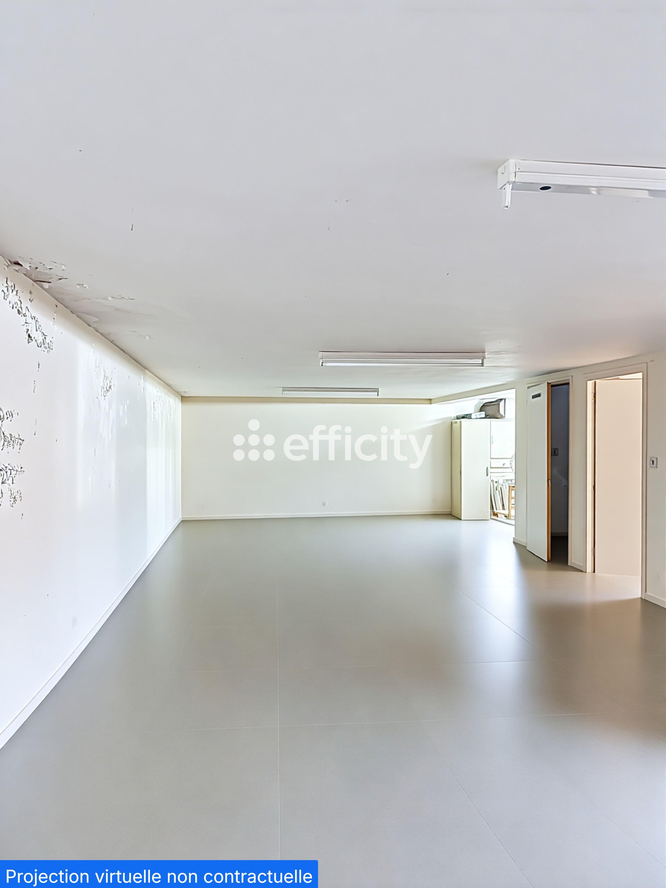 Achat immobilier Maison 6 pièces  220m2 à Ramonville-Saint-Agne (31520) - Photo n°13