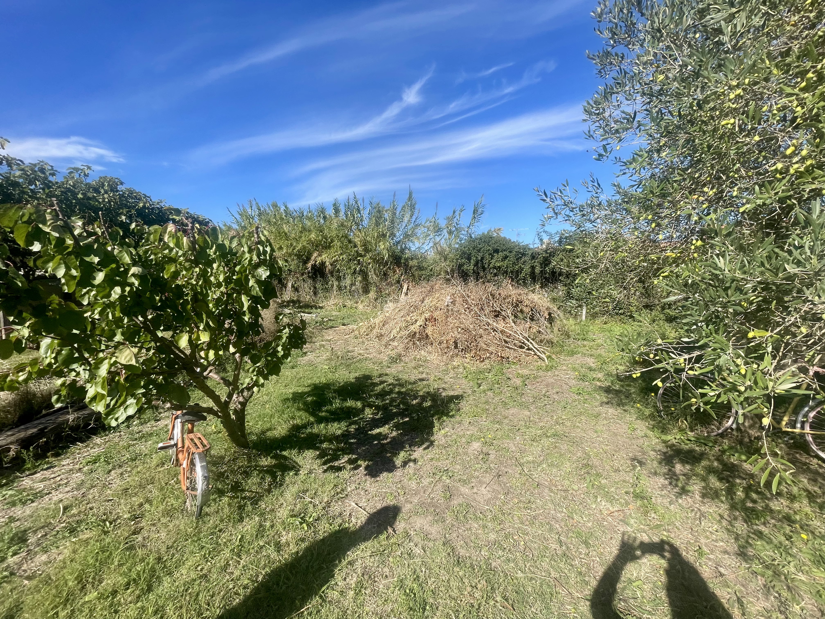 Achat immobilier Terrain   591m2 à Manduel (30129) - Photo n°4