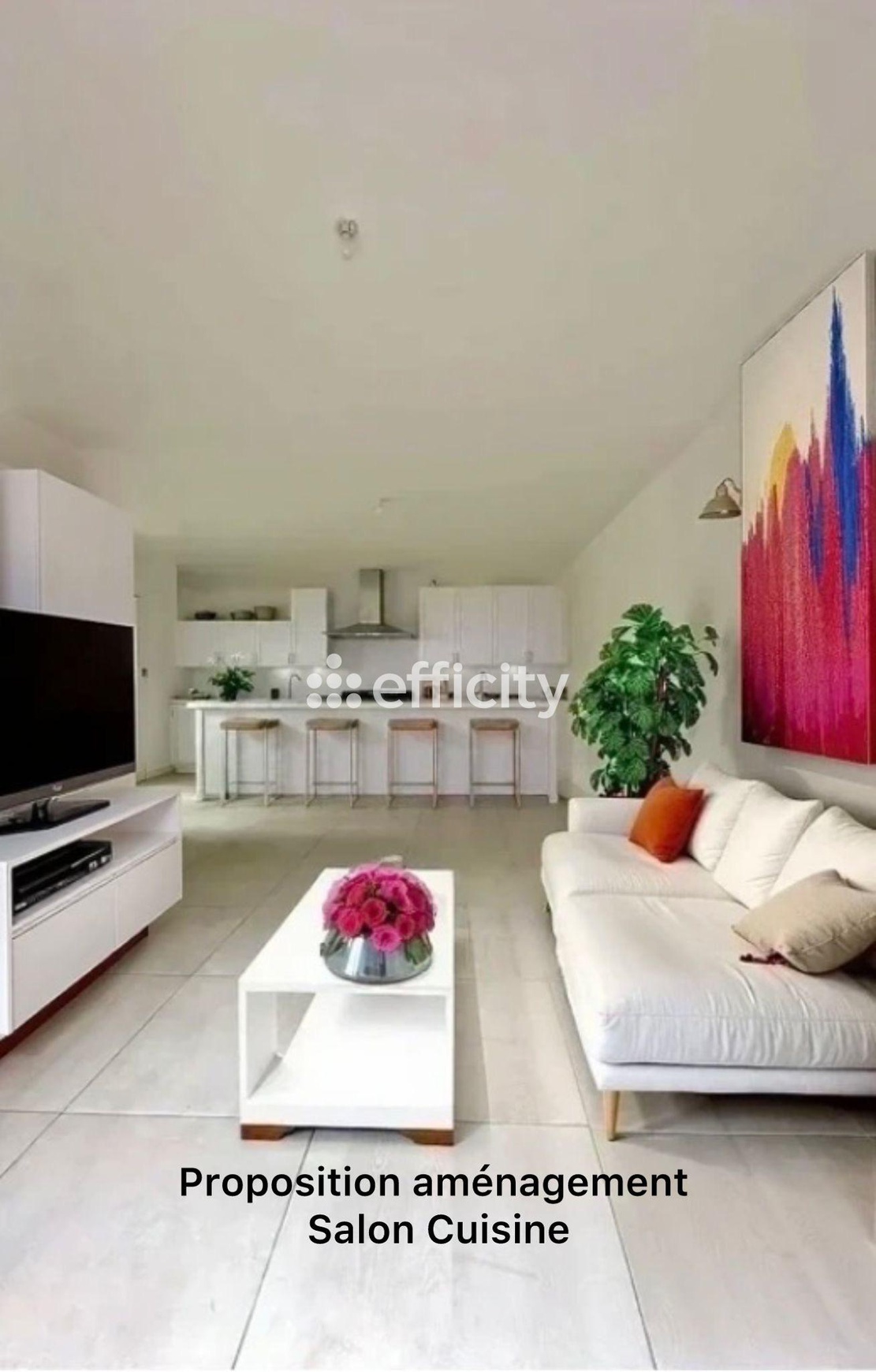 Achat immobilier Maison 3 pièces  90m2 à Doix lès Fontaines (85200) - Photo n°4