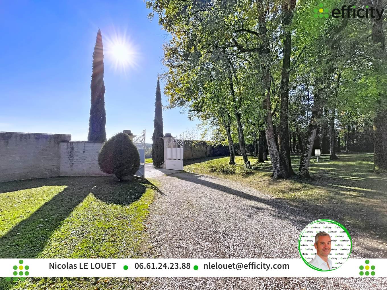 Achat immobilier Maison 10 pièces  290m2 à Anais (16560) - Photo n°6