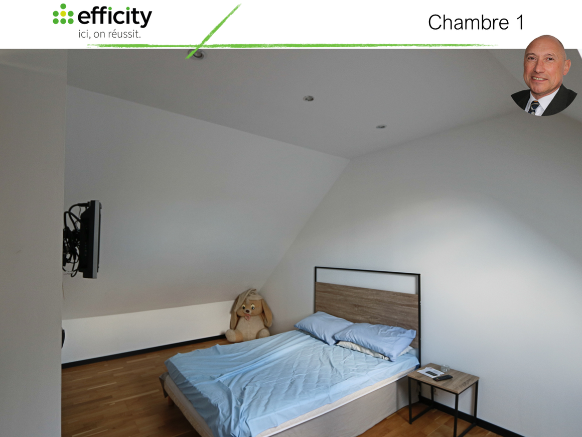 Achat immobilier Maison 5 pièces  155m2 à Saint-Calais (72120) - Photo n°5