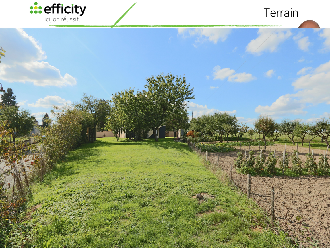 Achat immobilier Maison 5 pièces  155m2 à Saint-Calais (72120) - Photo n°8