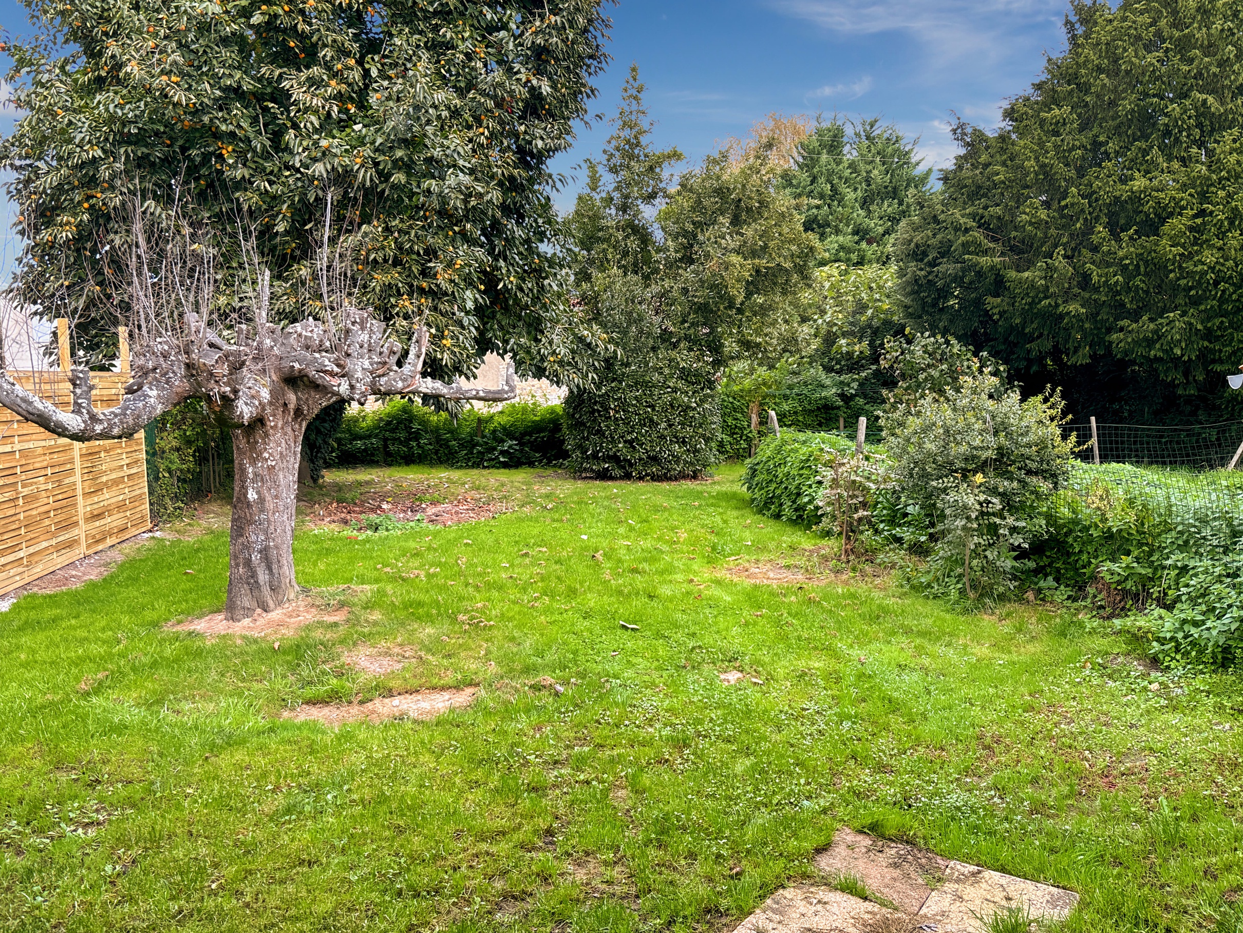 Achat immobilier Maison 5 pièces  160m2 à Consac (17150) - Photo n°13