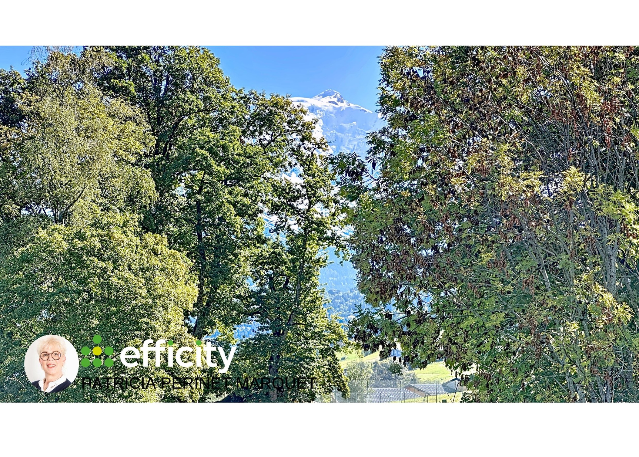 Achat immobilier Maison 8 pièces  225m2 à Combloux (74920) - Photo n°19