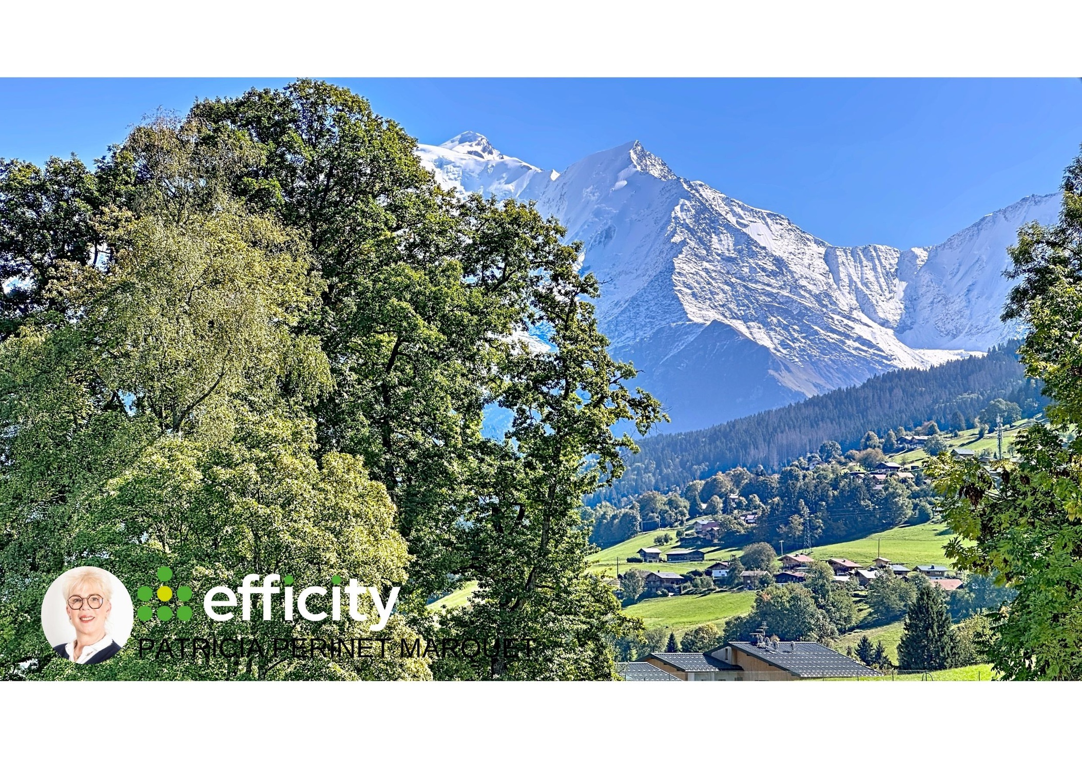 Achat immobilier Maison 8 pièces  225m2 à Combloux (74920) - Photo n°4