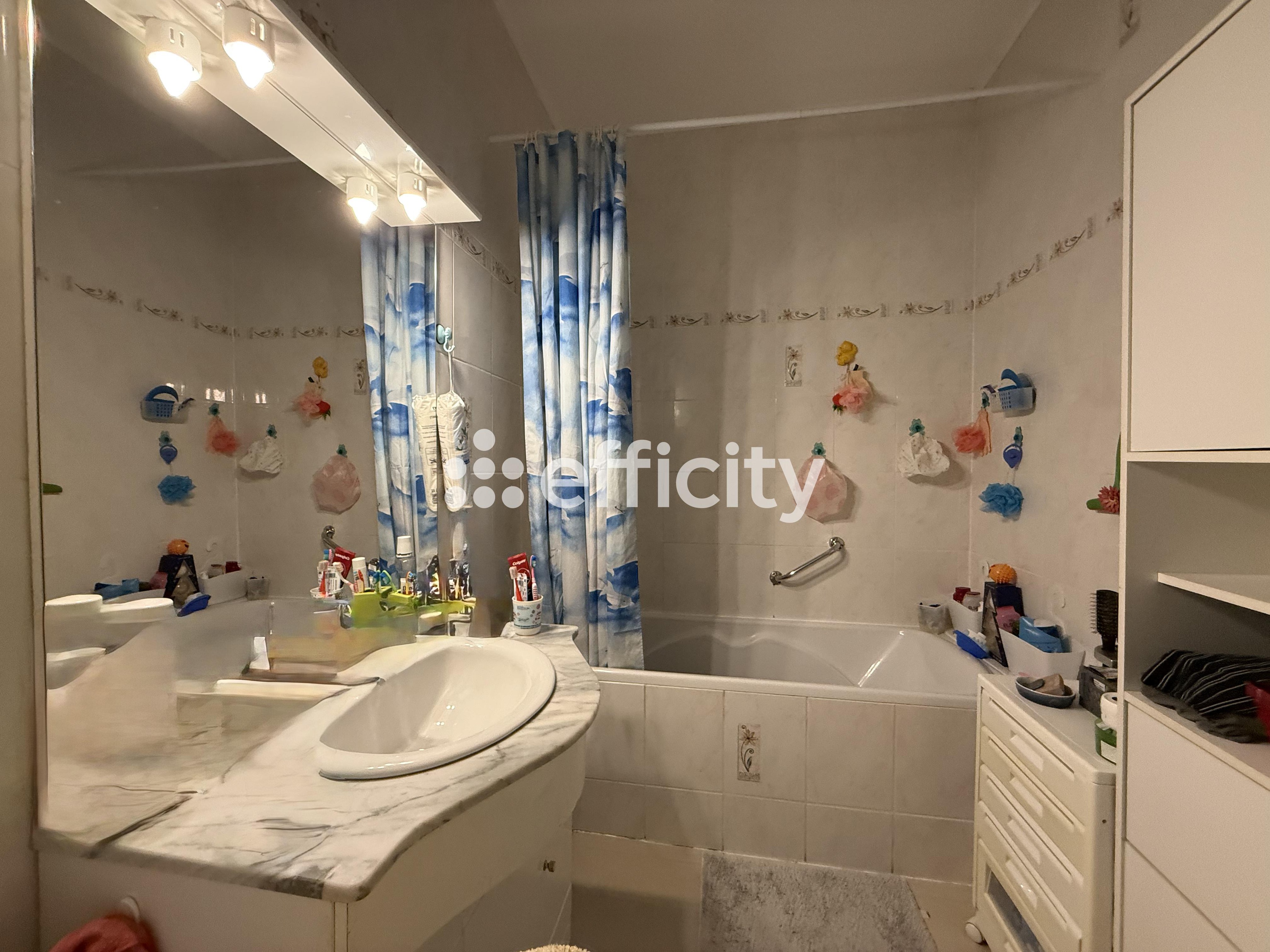 Achat immobilier Immeuble 15 pièces  365m2 à Longuyon (54260) - Photo n°6