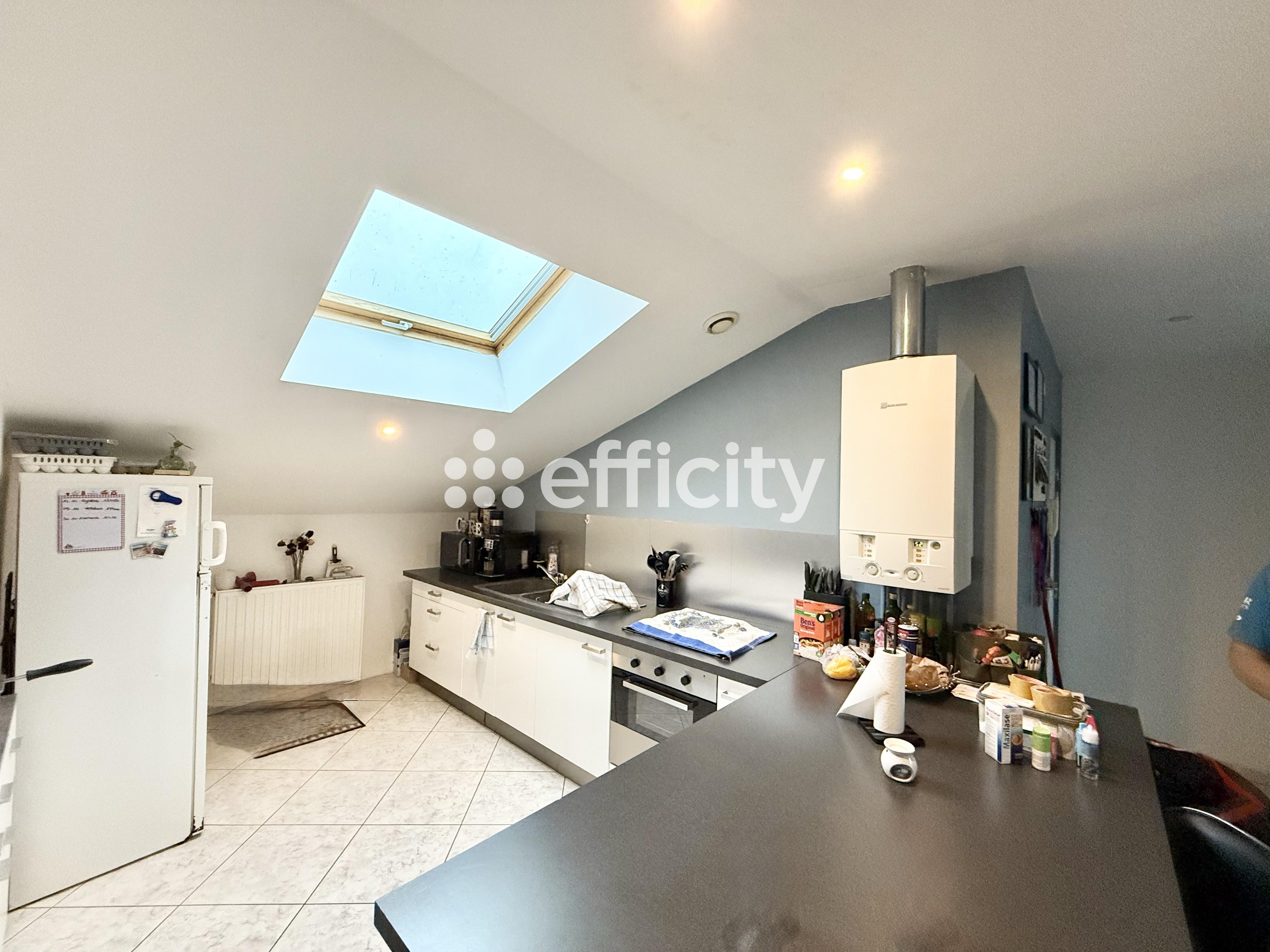 Achat immobilier Immeuble 15 pièces  365m2 à Longuyon (54260) - Photo n°11