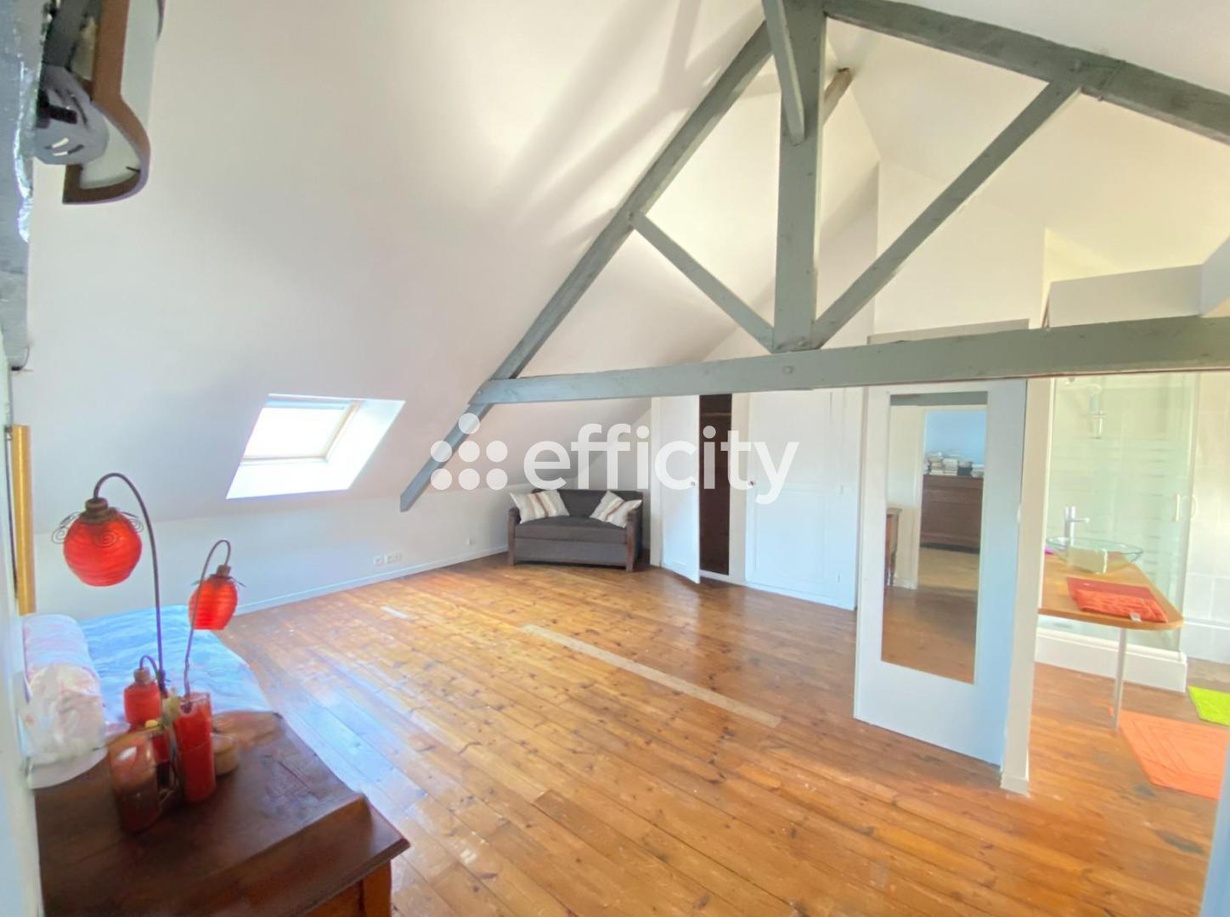 Achat immobilier Appartement 10 pièces  198m2 à Pontivy (56300) - Photo n°14