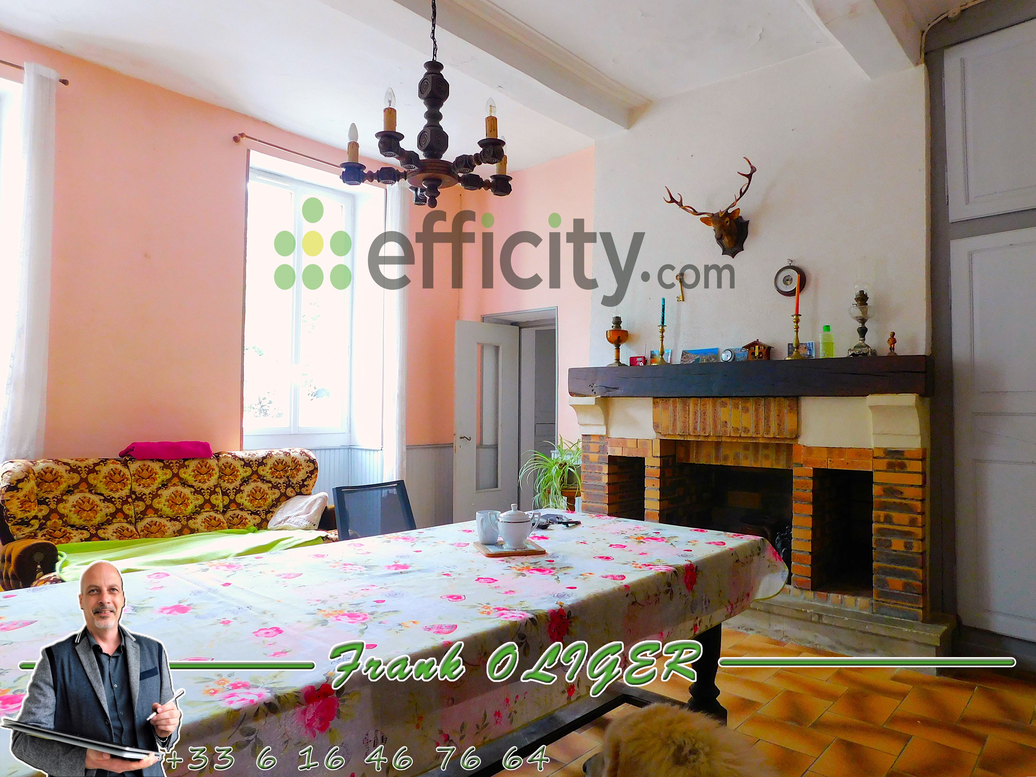 Achat immobilier Maison 16 pièces  517m2 à Belmont (32190) - Photo n°5