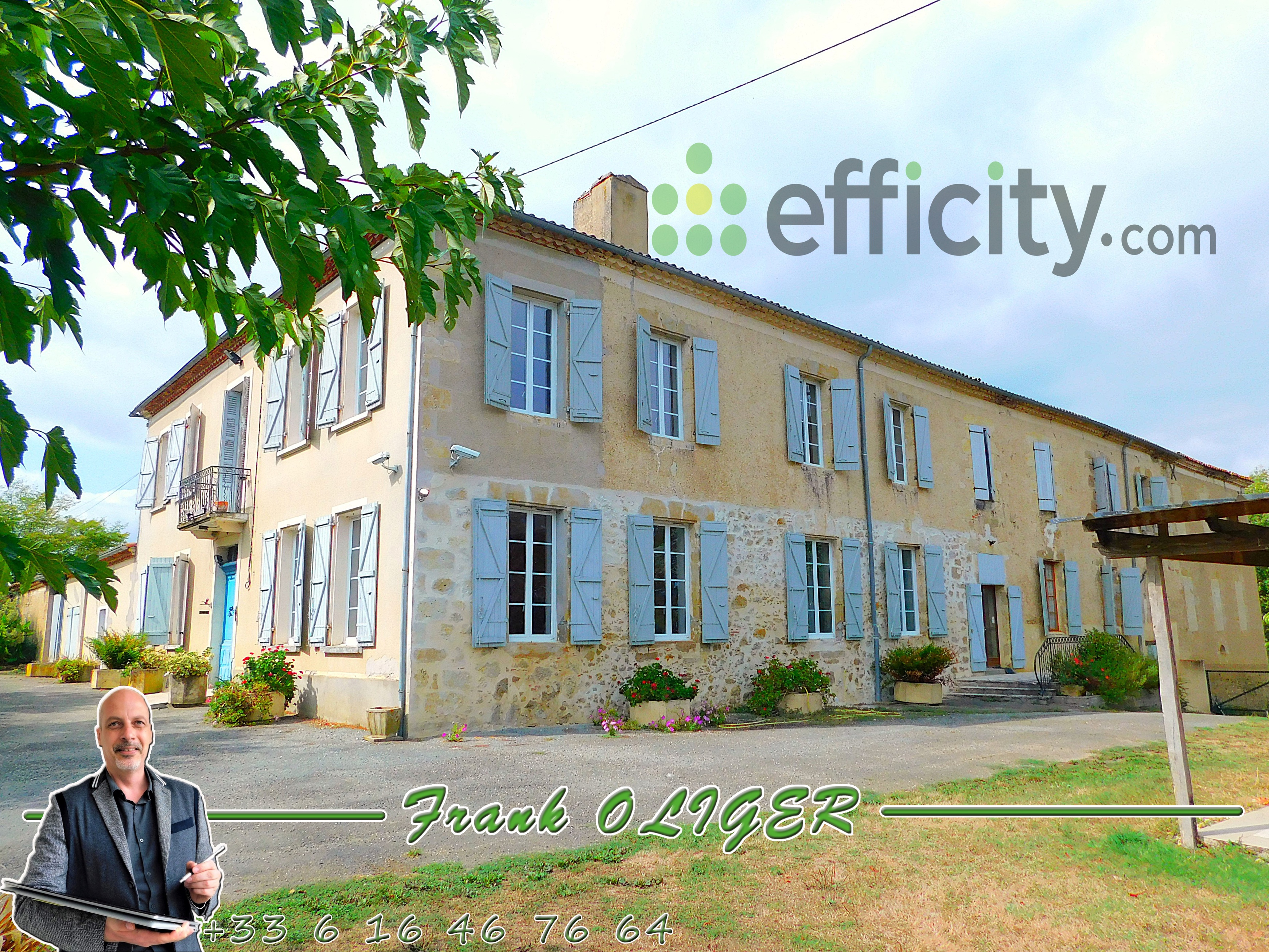 Achat immobilier Maison 16 pièces  517m2 à Belmont (32190) - Photo n°1
