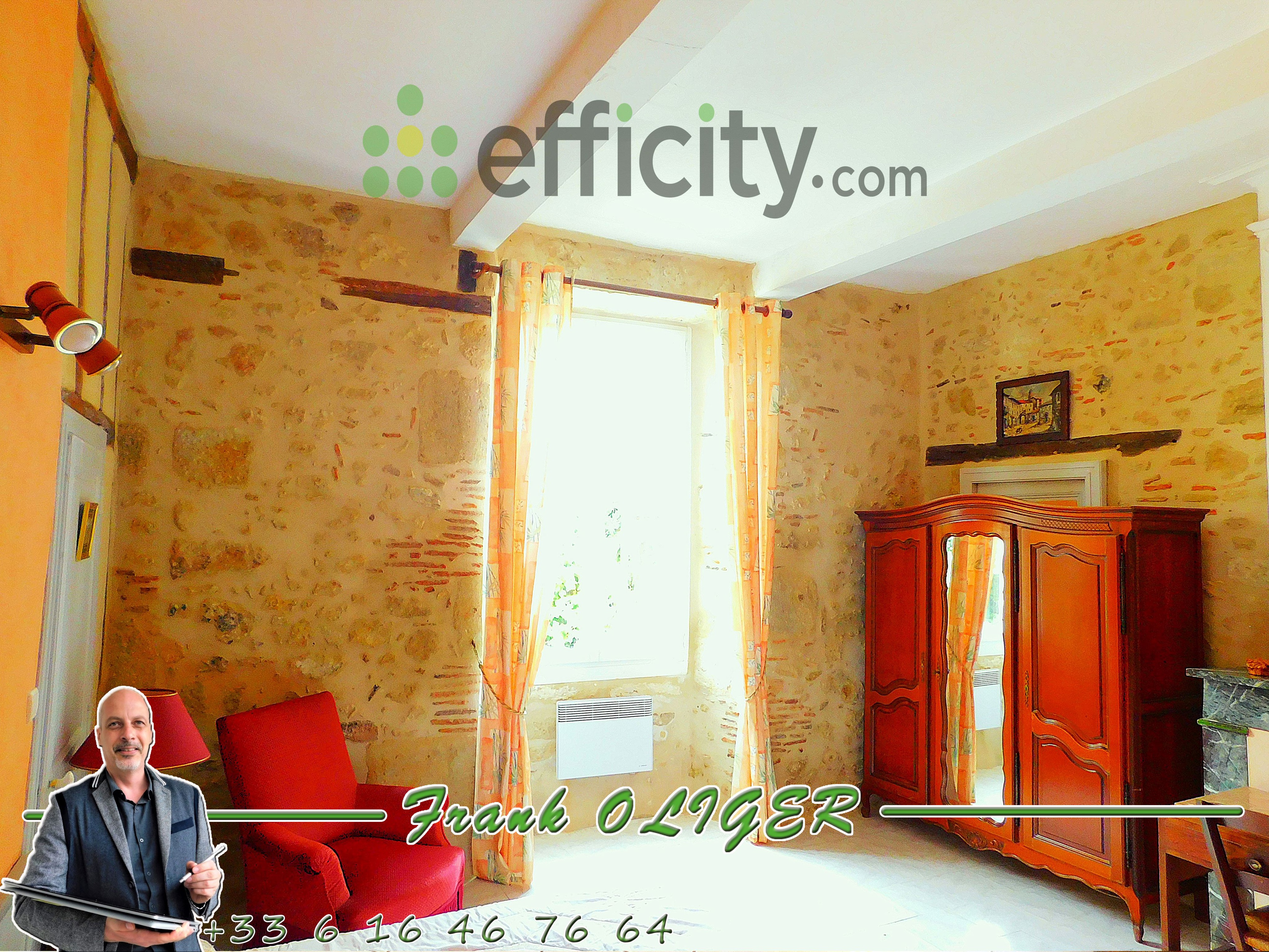 Achat immobilier Maison 16 pièces  517m2 à Belmont (32190) - Photo n°6