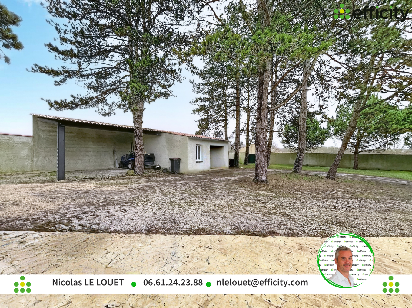 Achat immobilier Maison 9 pièces  230m2 à Linars (16730) - Photo n°5