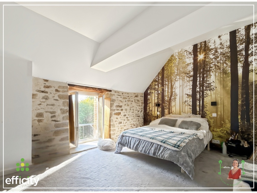 Achat immobilier Maison 14 pièces  290m2 à Bais (35680) - Photo n°10