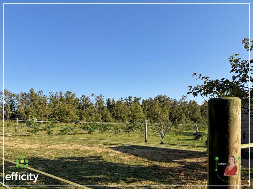 Achat immobilier Maison 14 pièces  290m2 à Bais (35680) - Photo n°19