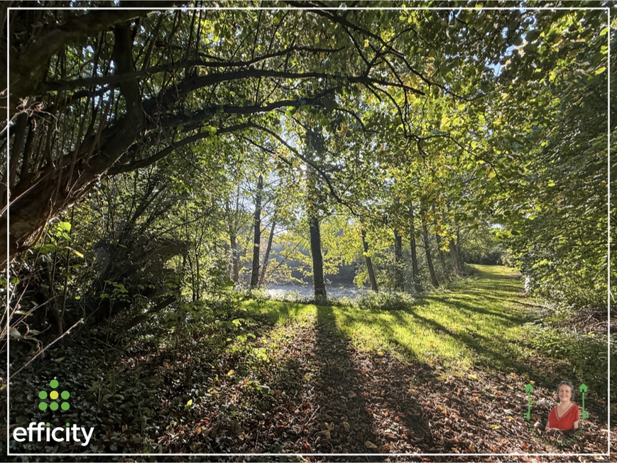 Achat immobilier Maison 14 pièces  290m2 à Bais (35680) - Photo n°16