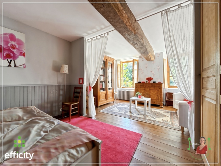 Achat immobilier Maison 14 pièces  290m2 à Bais (35680) - Photo n°7