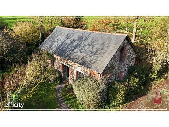 maison 14 pièces - 290m2 à Bais (35680)