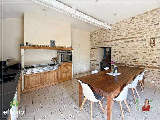maison 14 pièces - 334m2 à Bais (35680)