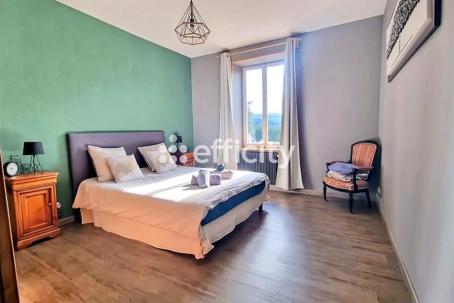 Achat immobilier Local commercial 11 pièces  347m2 à Mâcon (71000) - Photo n°9