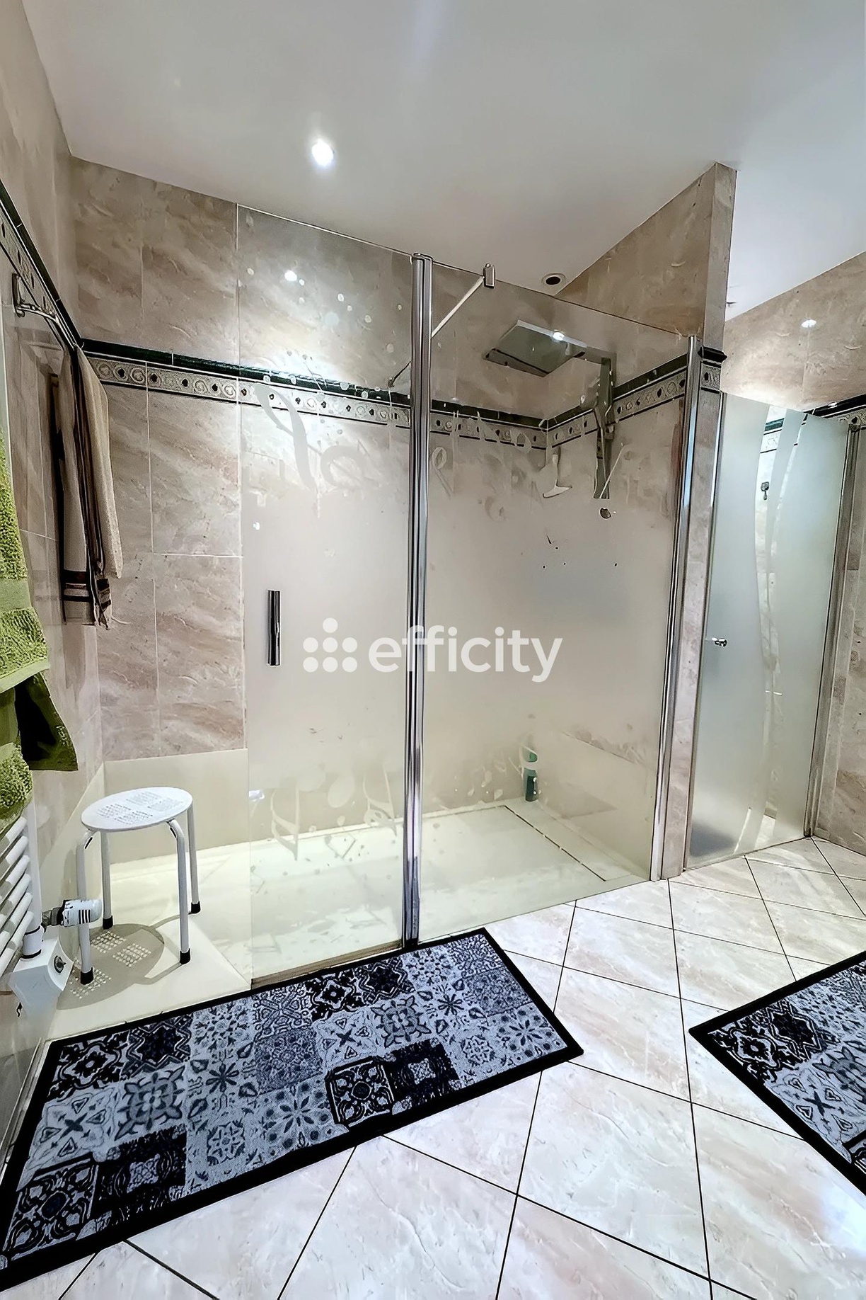 Achat immobilier Maison 8 pièces  195m2 à Briennon (42720) - Photo n°13