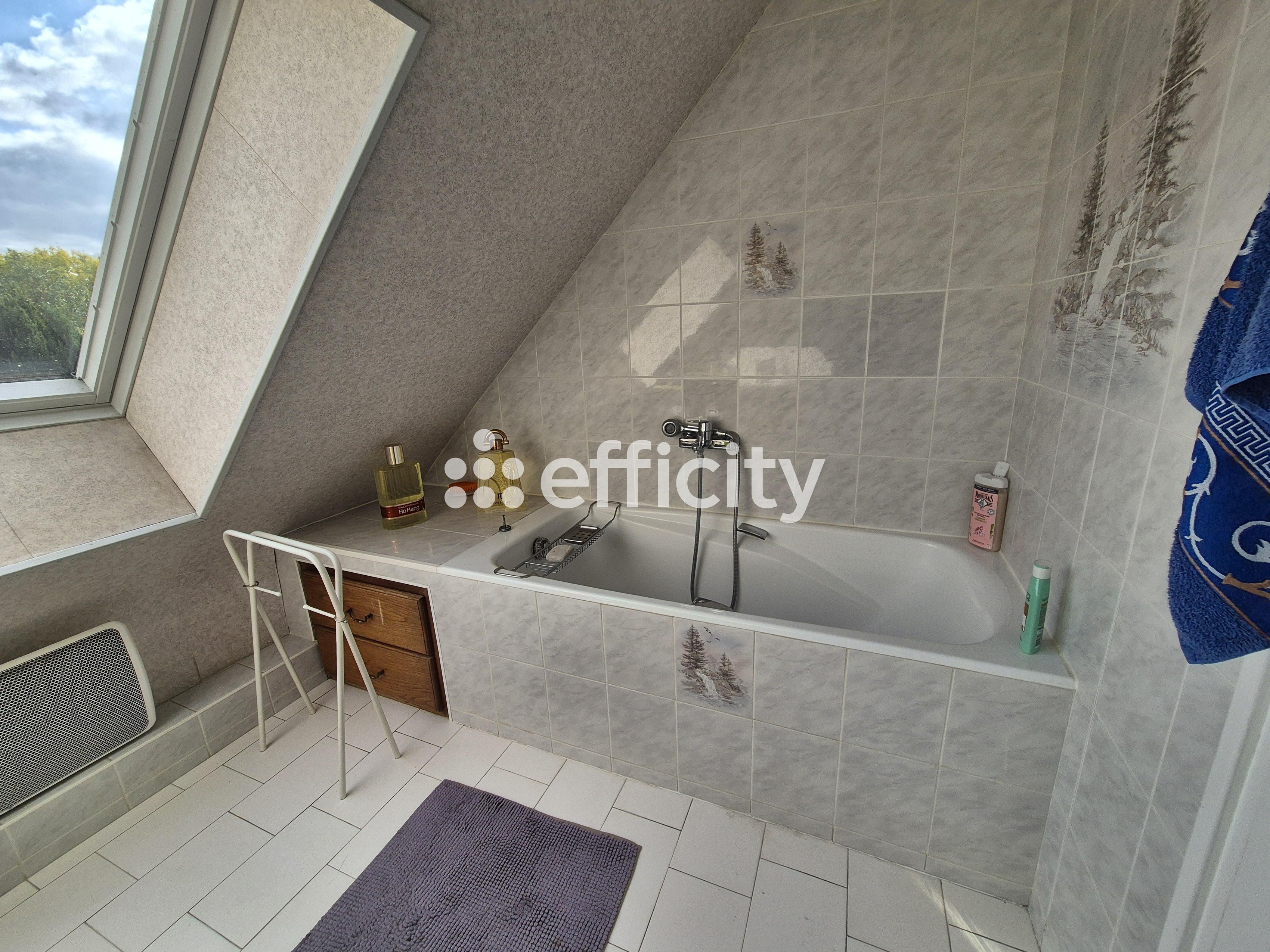 Achat immobilier Maison 7 pièces  147m2 à Vauxbuin (02200) - Photo n°6