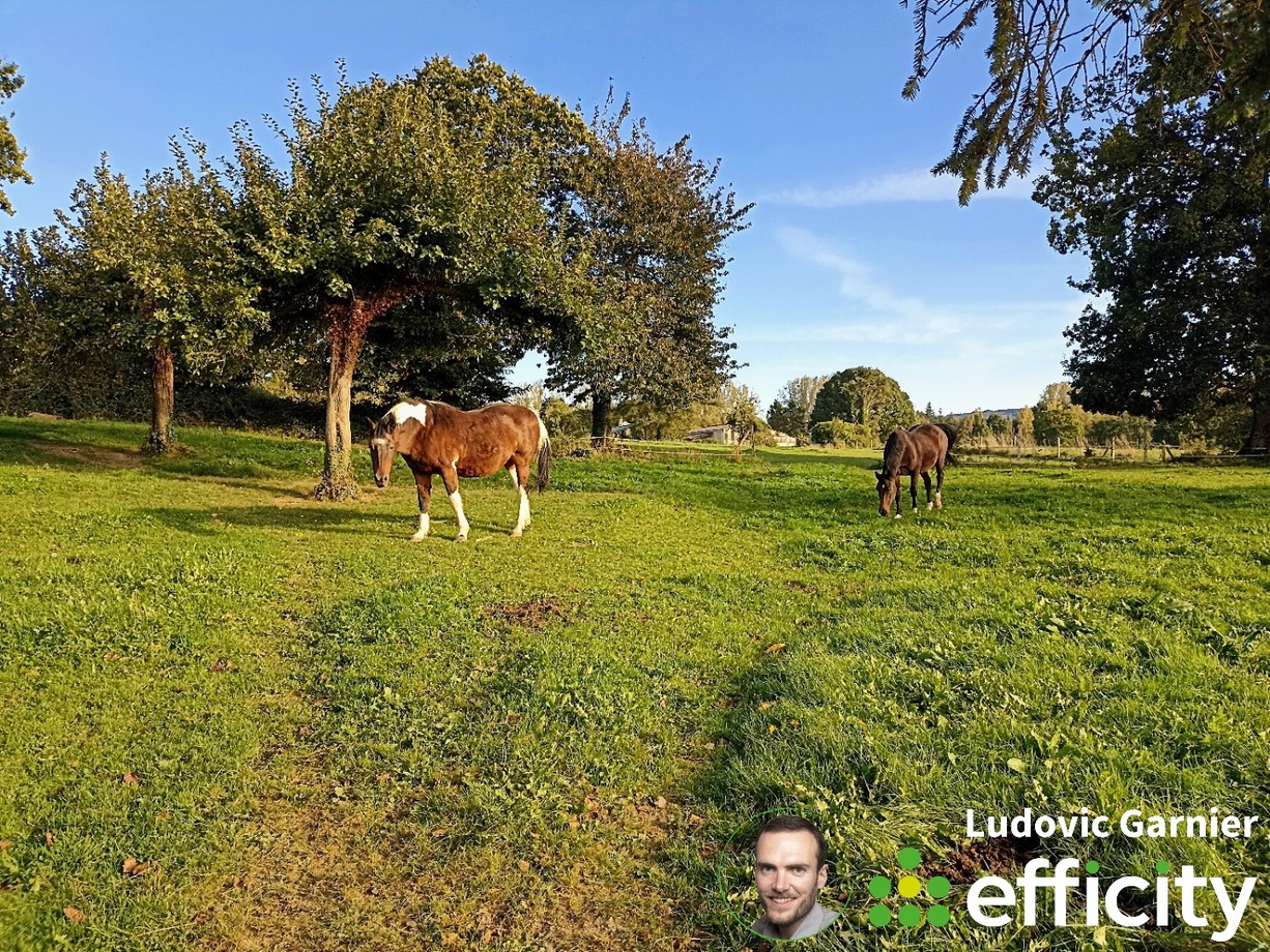 Achat immobilier Maison 7 pièces  162m2 à Le Mesnil-Gilbert (50670) - Photo n°18