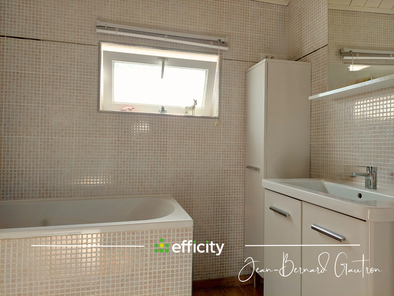 Achat immobilier Maison 4 pièces  115m2 à Belle-Isle-en-Terre (22810) - Photo n°14