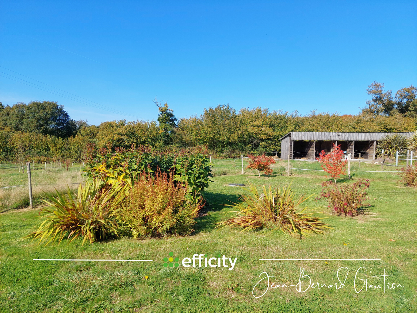 Achat immobilier Maison 4 pièces  115m2 à Belle-Isle-en-Terre (22810) - Photo n°5