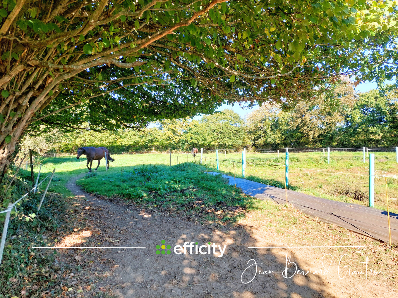 Achat immobilier Maison 4 pièces  115m2 à Belle-Isle-en-Terre (22810) - Photo n°6