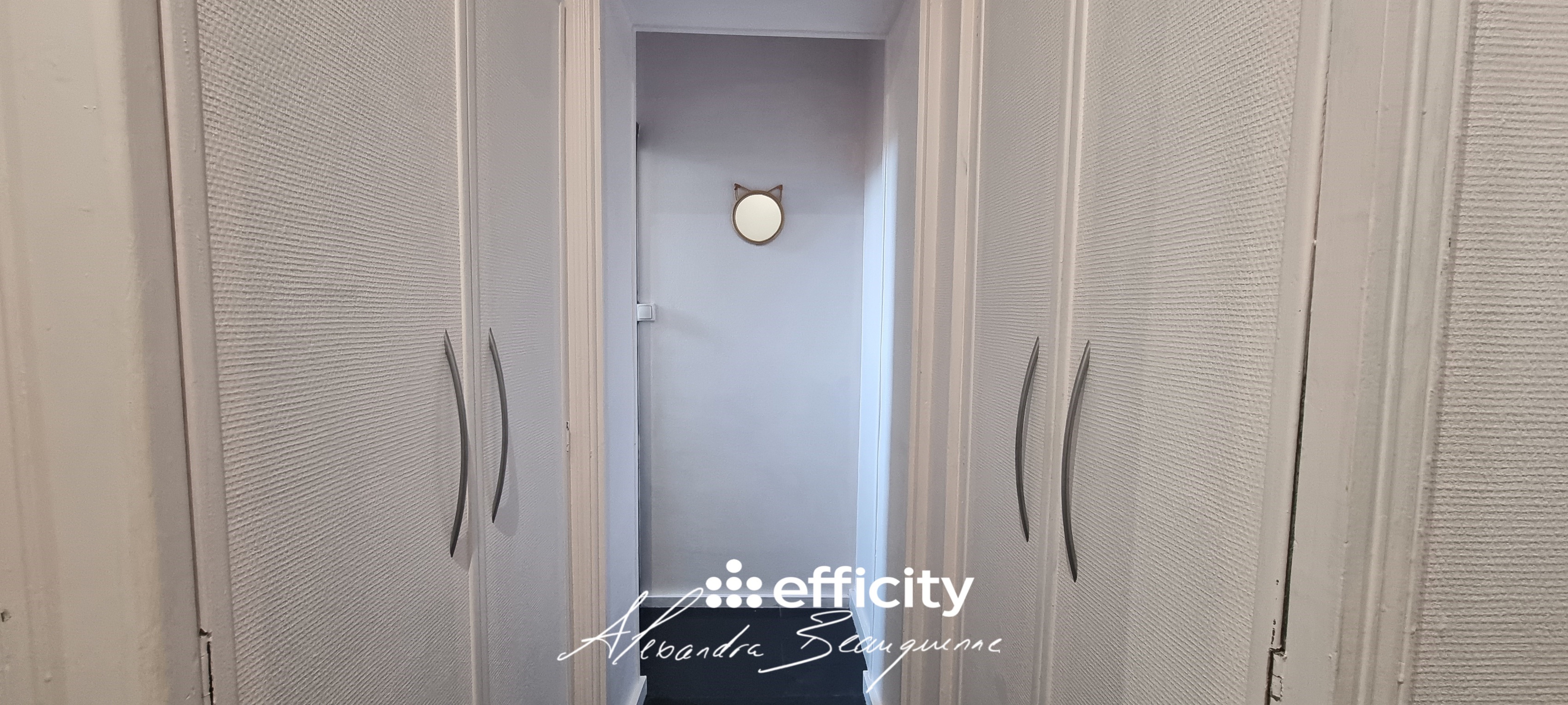 Achat immobilier Appartement 4 pièces  101m2 à Niort (79000) - Photo n°8