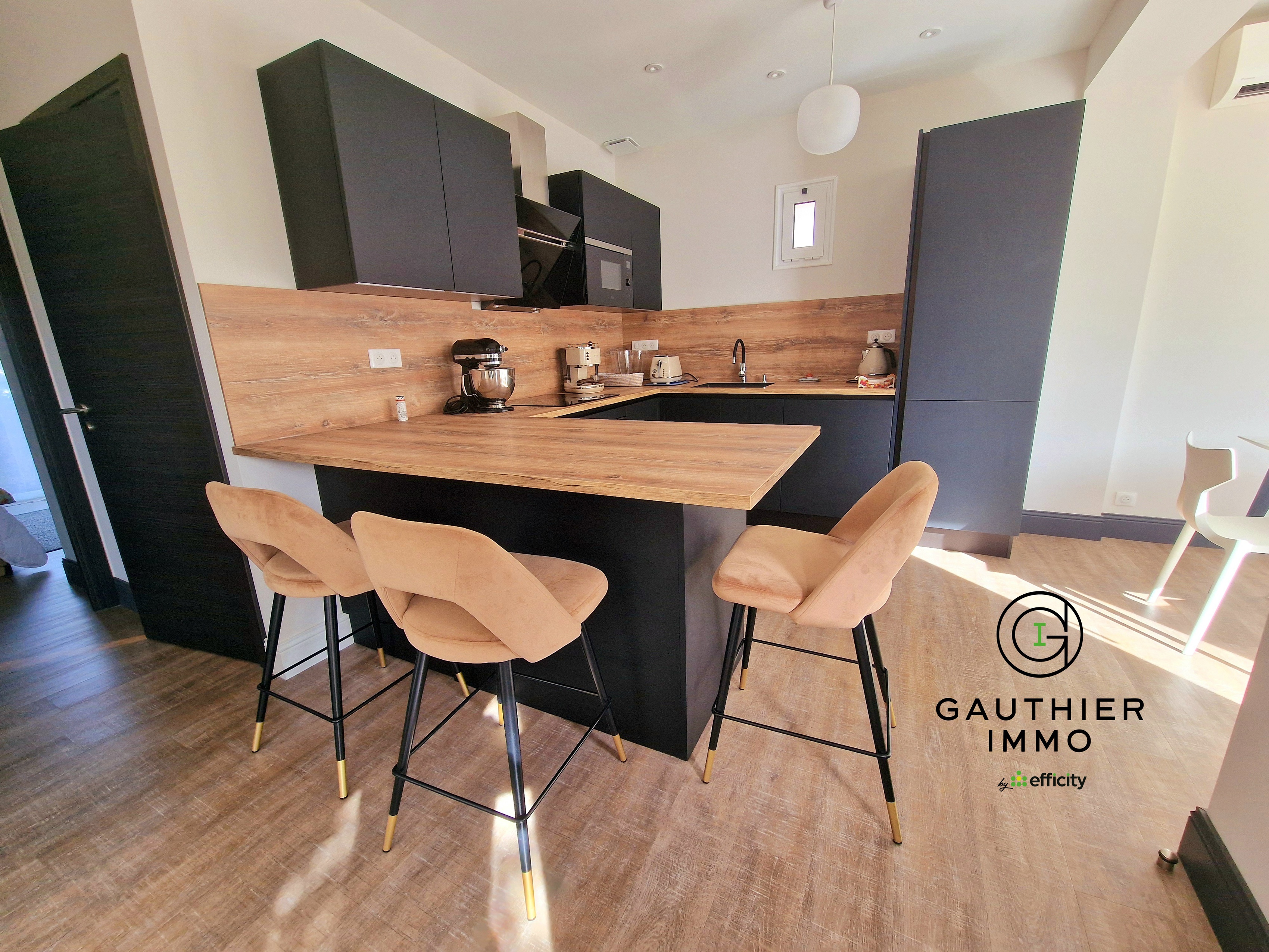 Achat immobilier Maison 3 pièces  65m2 à La Teste-de-Buch (33260) - Photo n°4