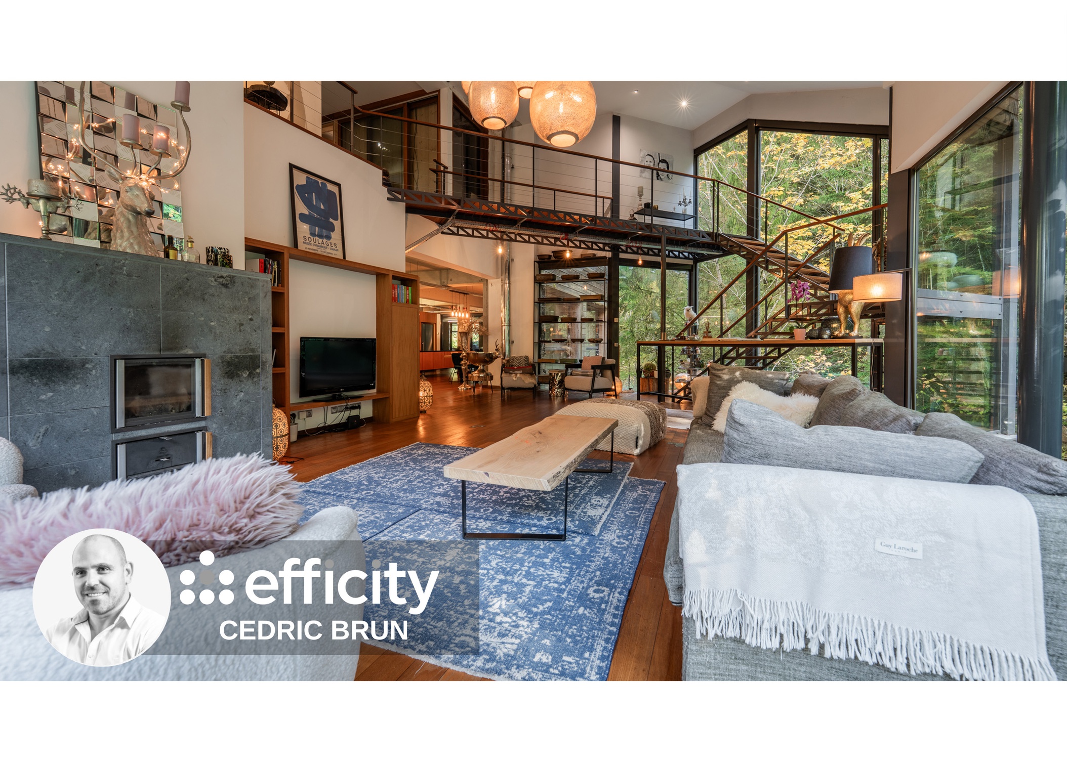 Achat immobilier Maison 9 pièces  450m2 à Scionzier (74950) - Photo n°4