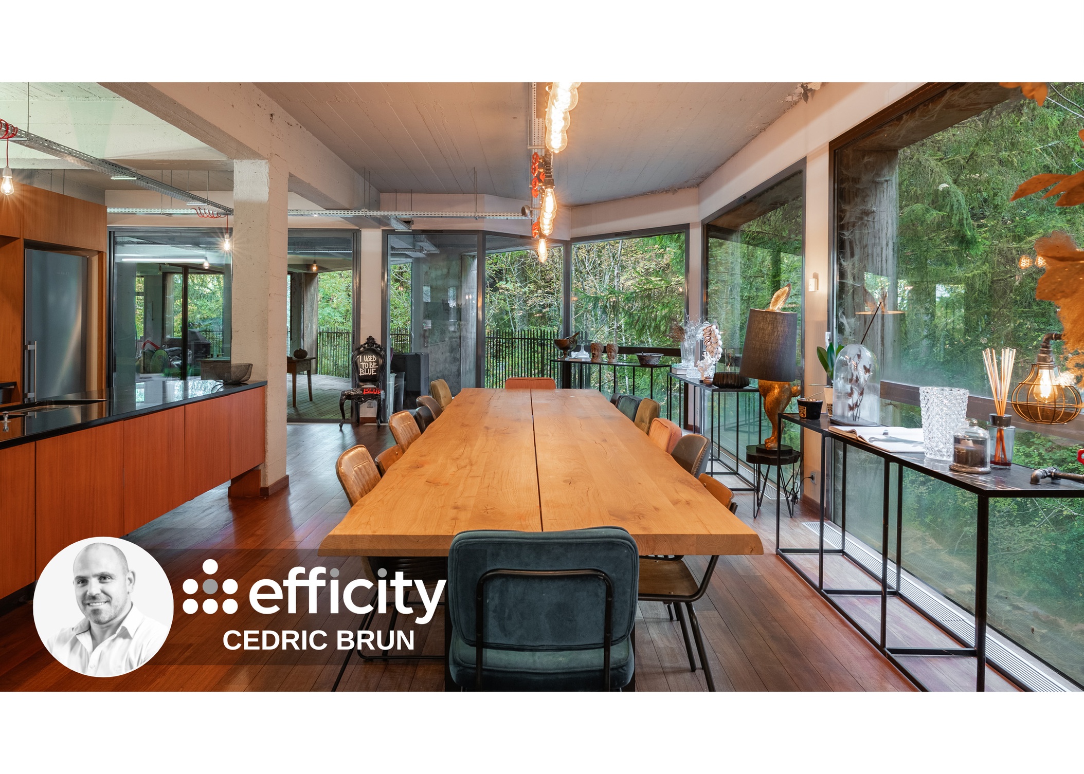 Achat immobilier Maison 9 pièces  450m2 à Scionzier (74950) - Photo n°7