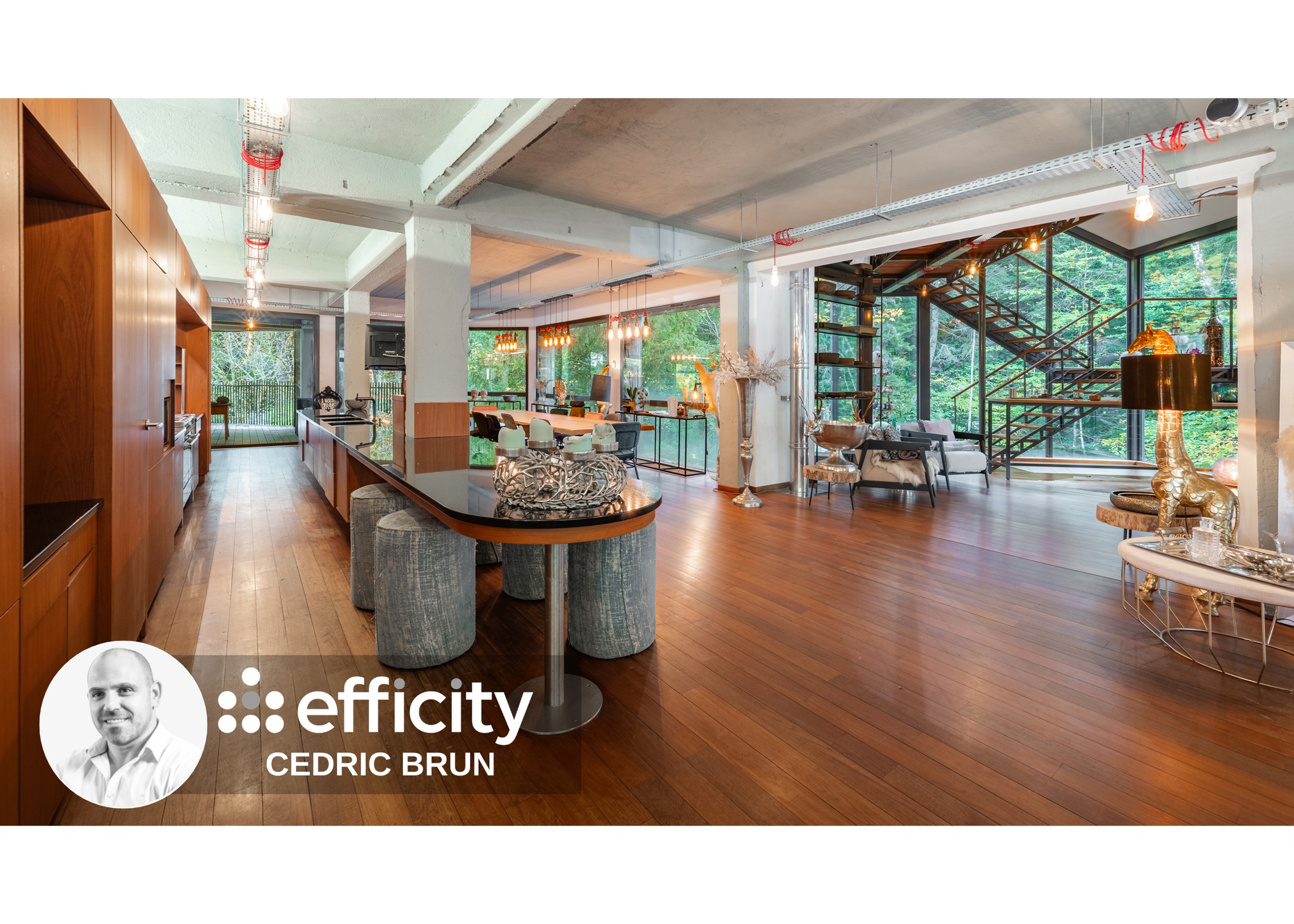 Achat immobilier Maison 9 pièces  450m2 à Scionzier (74950) - Photo n°6