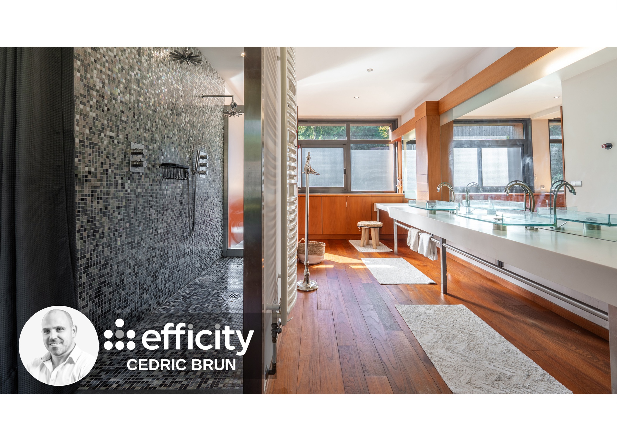 Achat immobilier Maison 9 pièces  450m2 à Scionzier (74950) - Photo n°14