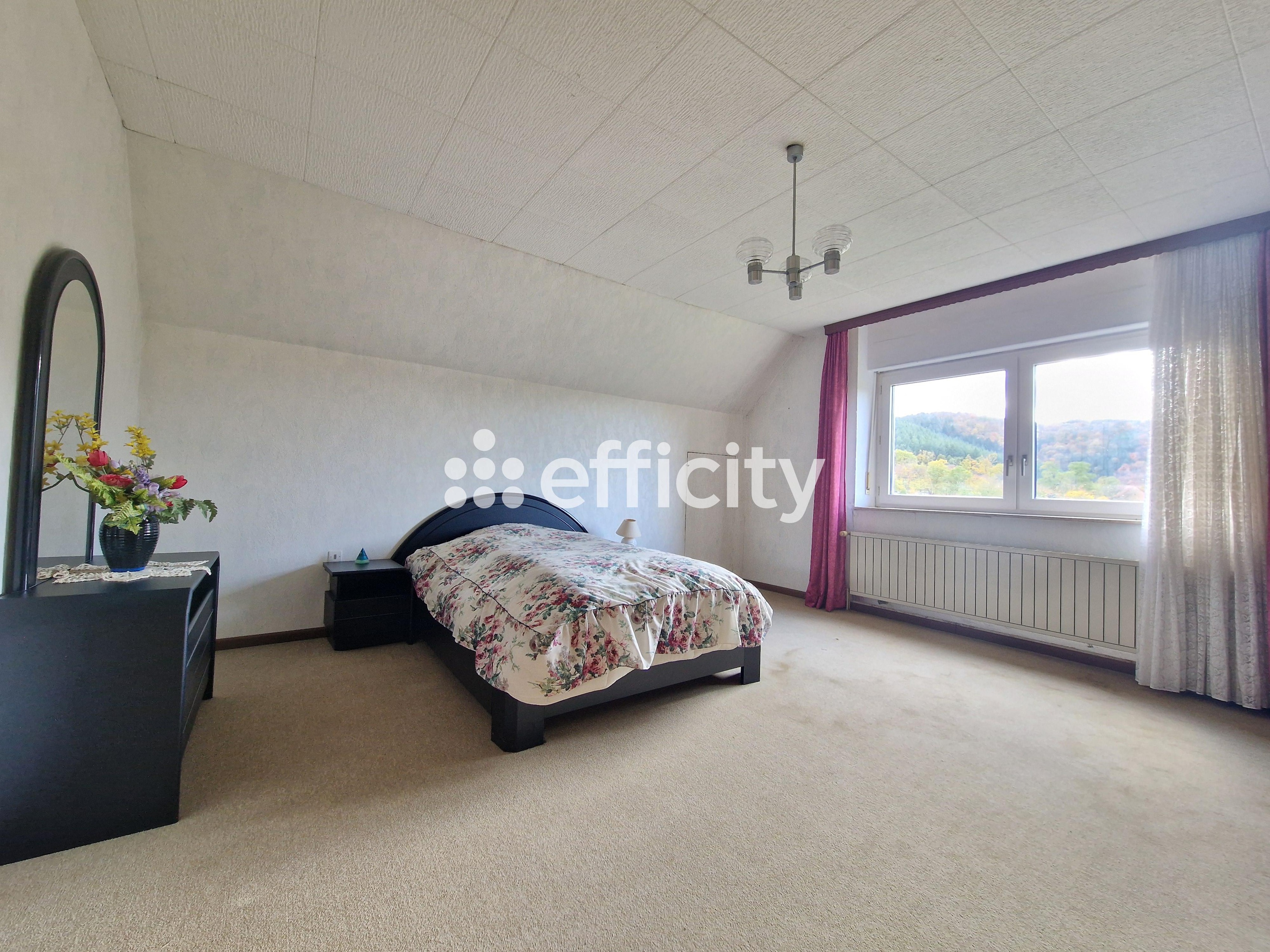 Achat immobilier Maison 6 pièces  187m2 à Baerenthal (57230) - Photo n°8