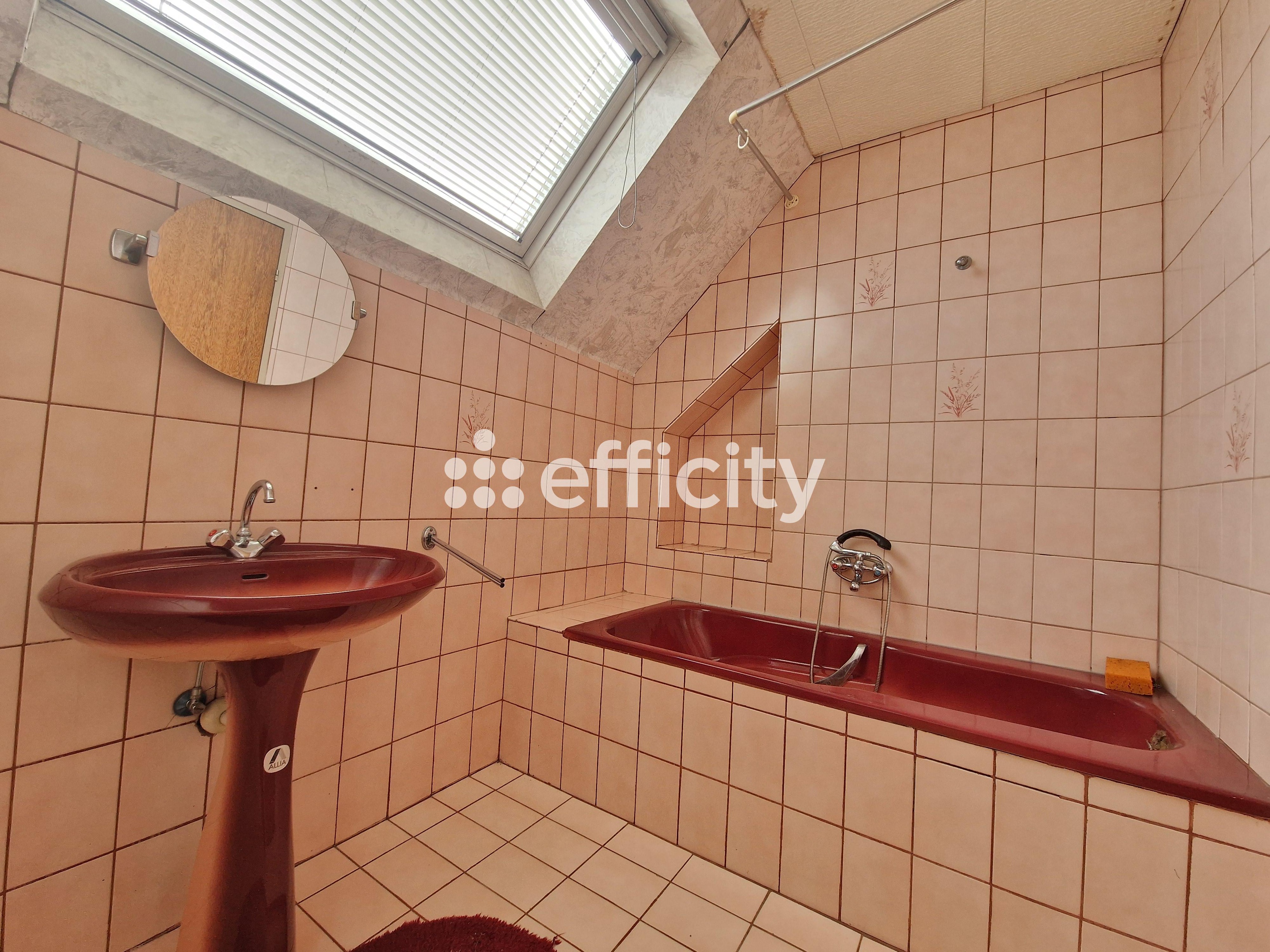 Achat immobilier Maison 6 pièces  187m2 à Baerenthal (57230) - Photo n°9
